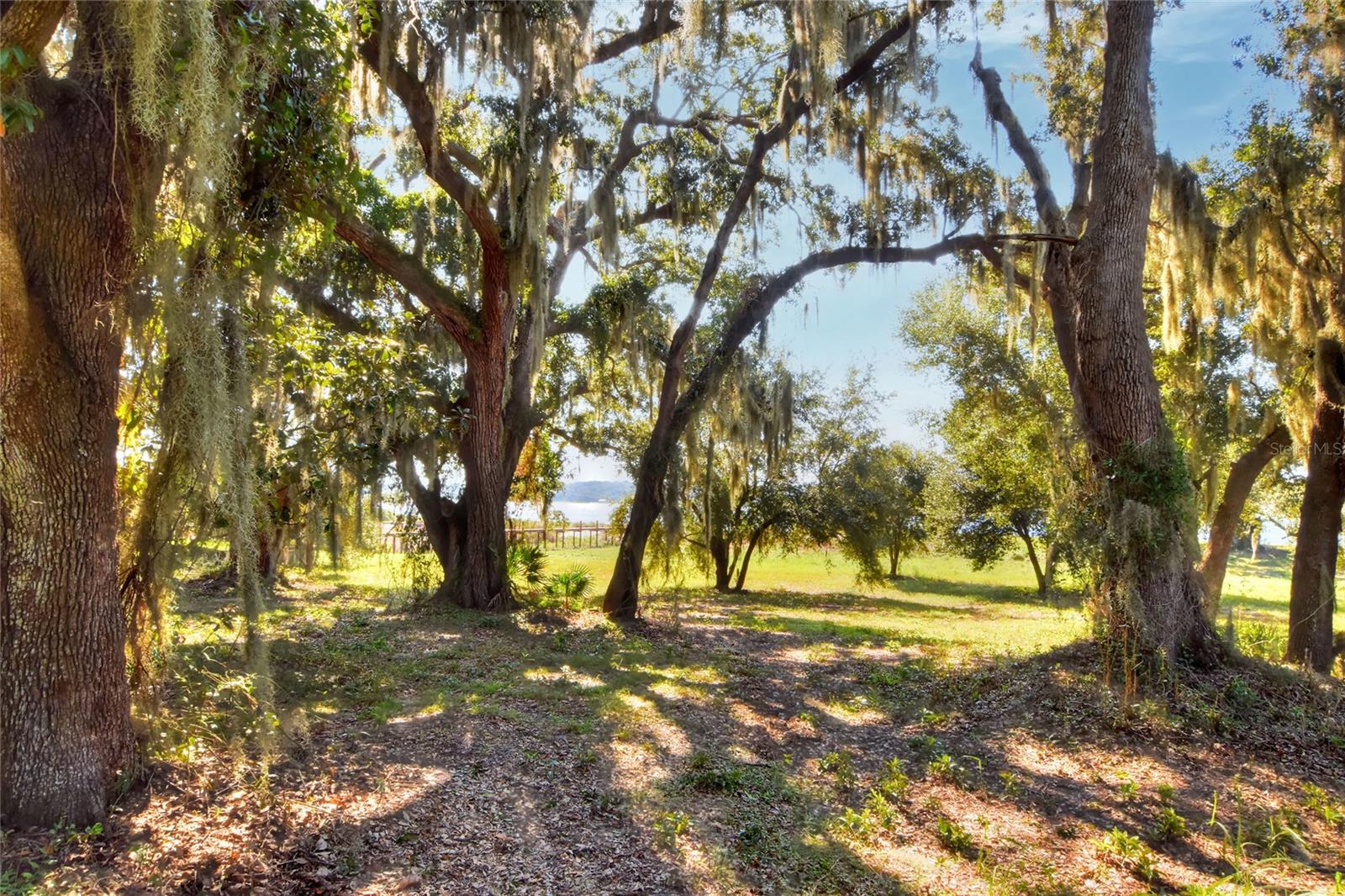 MANGHAM ROAD, Babson Park, FL 33827