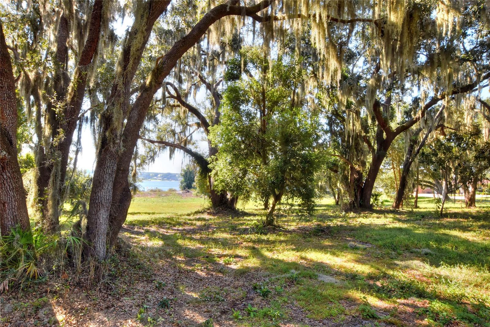 MANGHAM ROAD, Babson Park, FL 33827