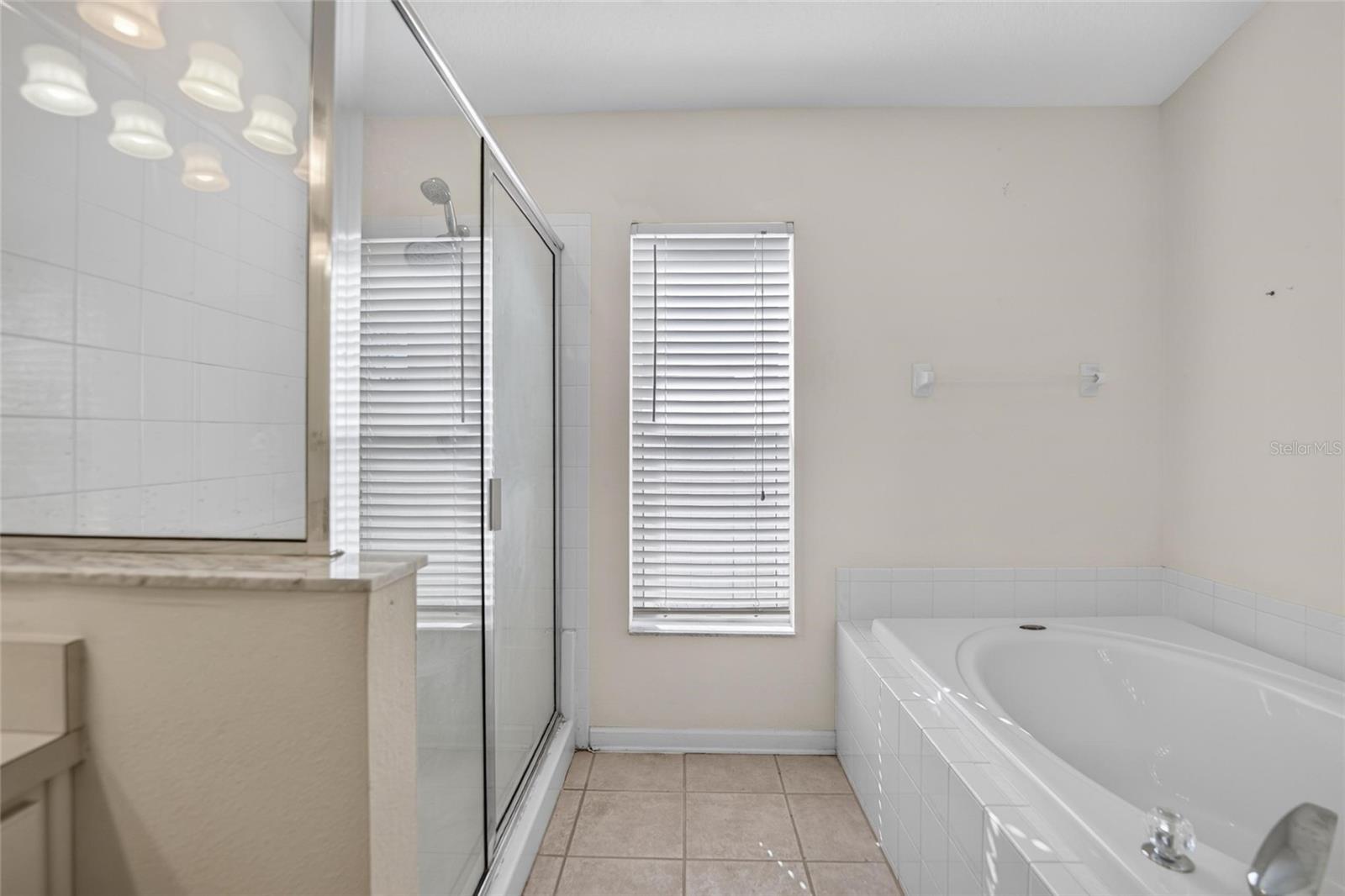 25311 LEXINGTON OAKS BOULEVARD, Wesley Chapel, FL 33544