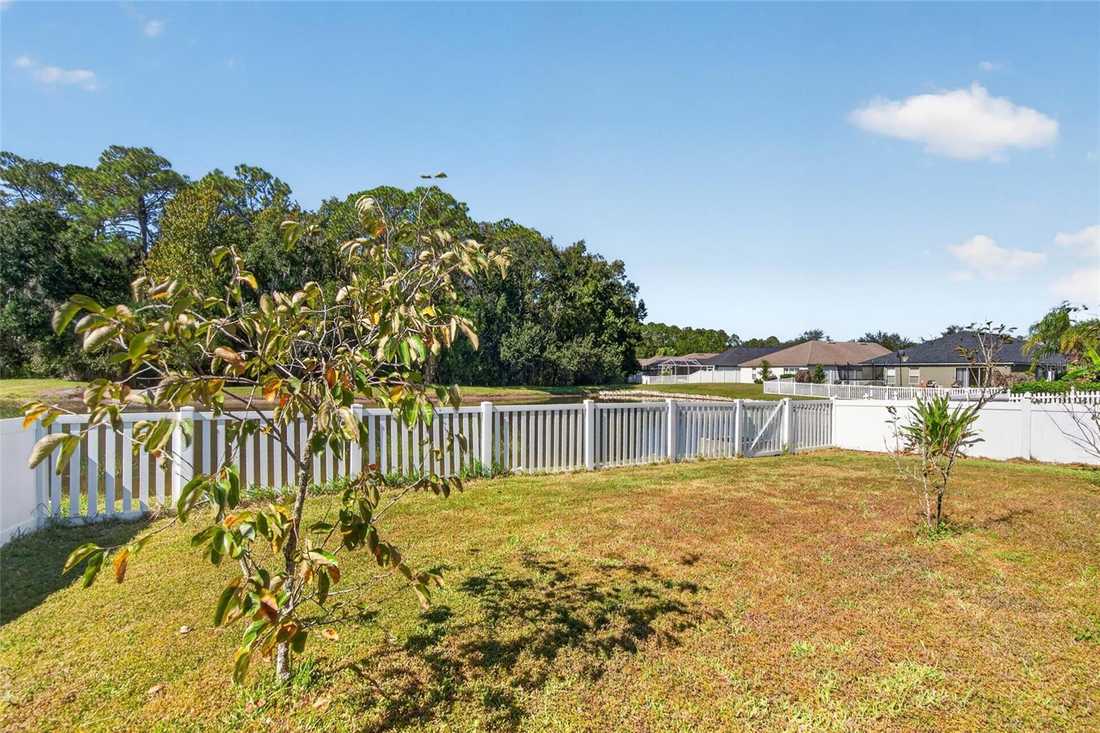 25311 LEXINGTON OAKS BOULEVARD, Wesley Chapel, FL 33544