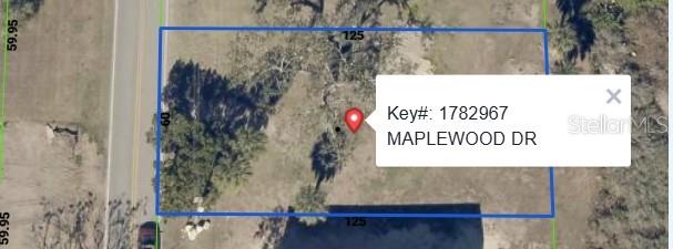 MAPLEWOOD DRIVE, Hernando Beach, FL 34607 MAPLEWOOD DRIVE, Hernando Beach, FL 34607