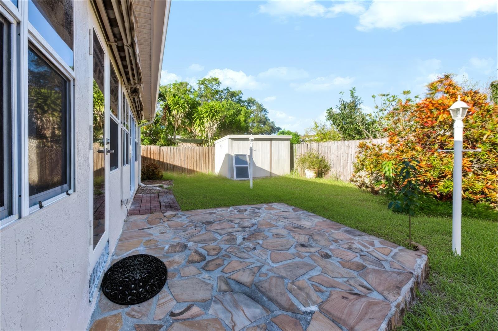 Back yard