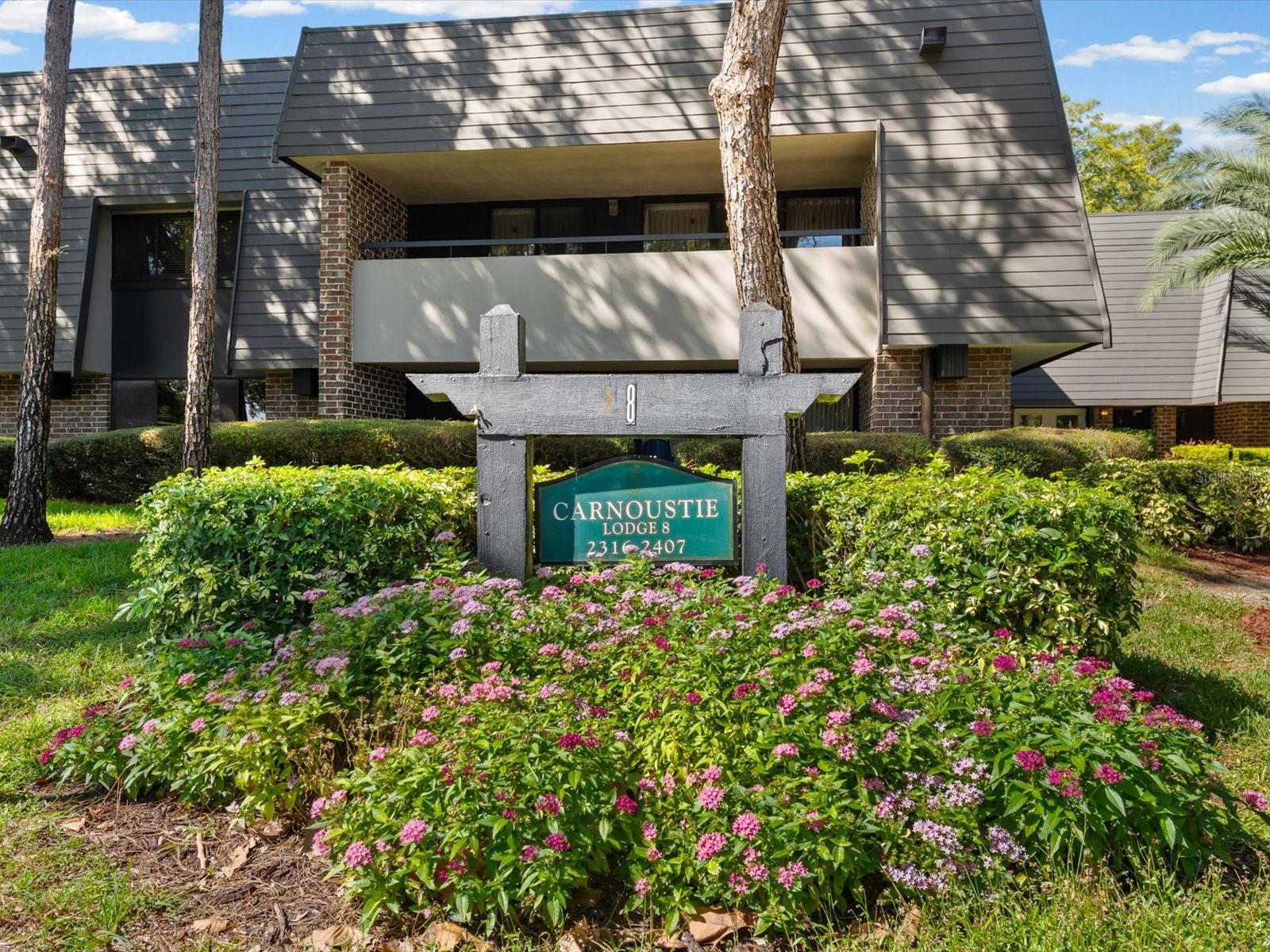 36750 US HIGHWAY 19 N, #2372, Palm Harbor, FL 34683