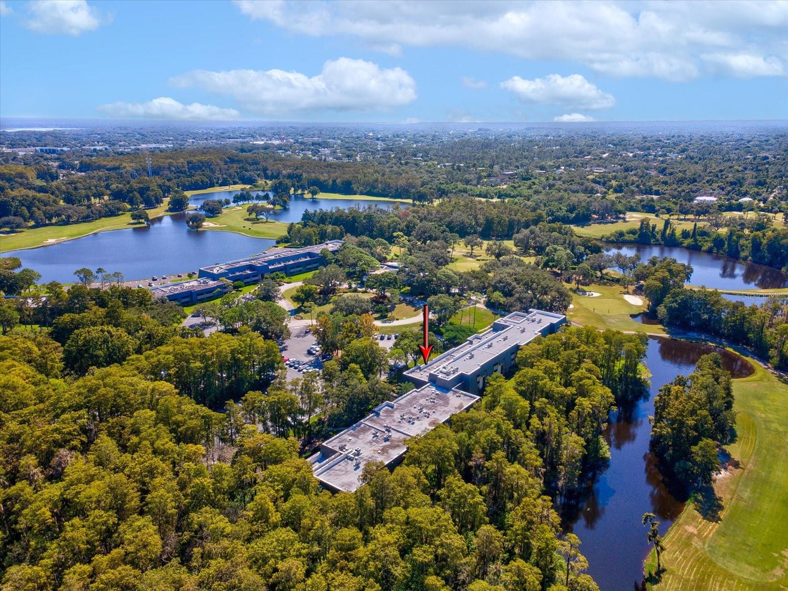 36750 US HIGHWAY 19 N, #2372, Palm Harbor, FL 34683