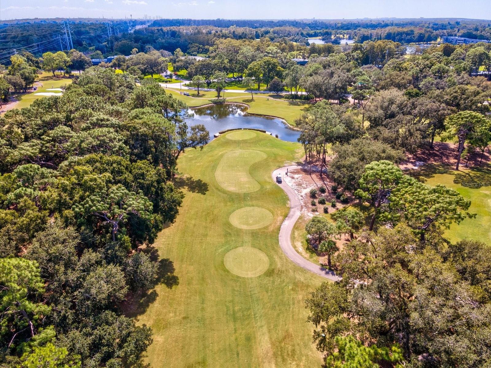 36750 US HIGHWAY 19 N, #2372, Palm Harbor, FL 34683
