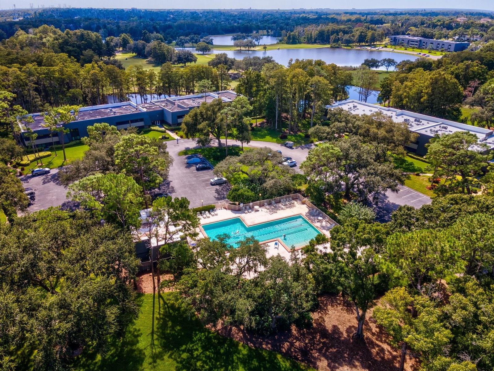 36750 US HIGHWAY 19 N, #2372, Palm Harbor, FL 34683