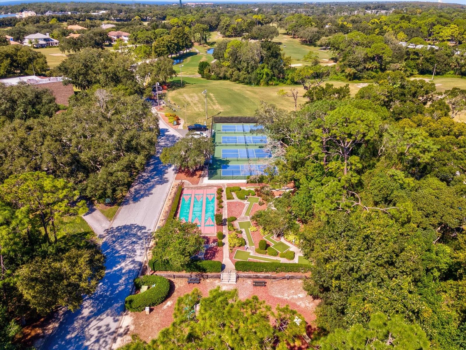 36750 US HIGHWAY 19 N, #2372, Palm Harbor, FL 34683