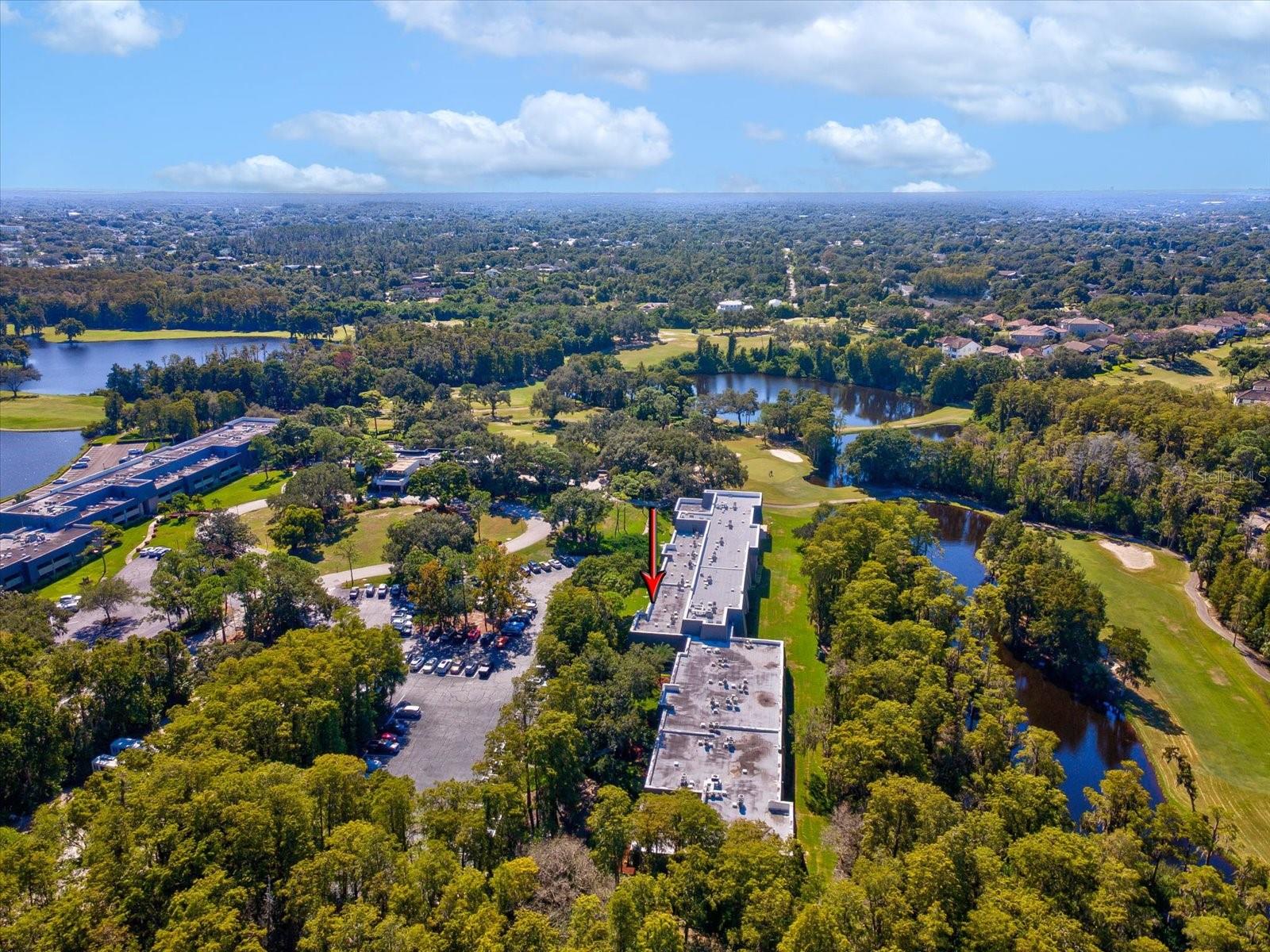 36750 US HIGHWAY 19 N, #2372, Palm Harbor, FL 34683