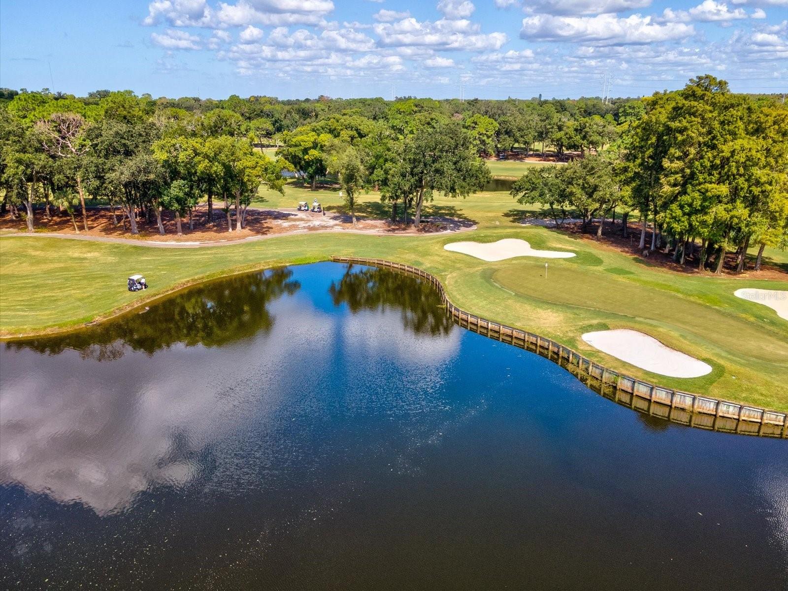 36750 US HIGHWAY 19 N, #2372, Palm Harbor, FL 34683
