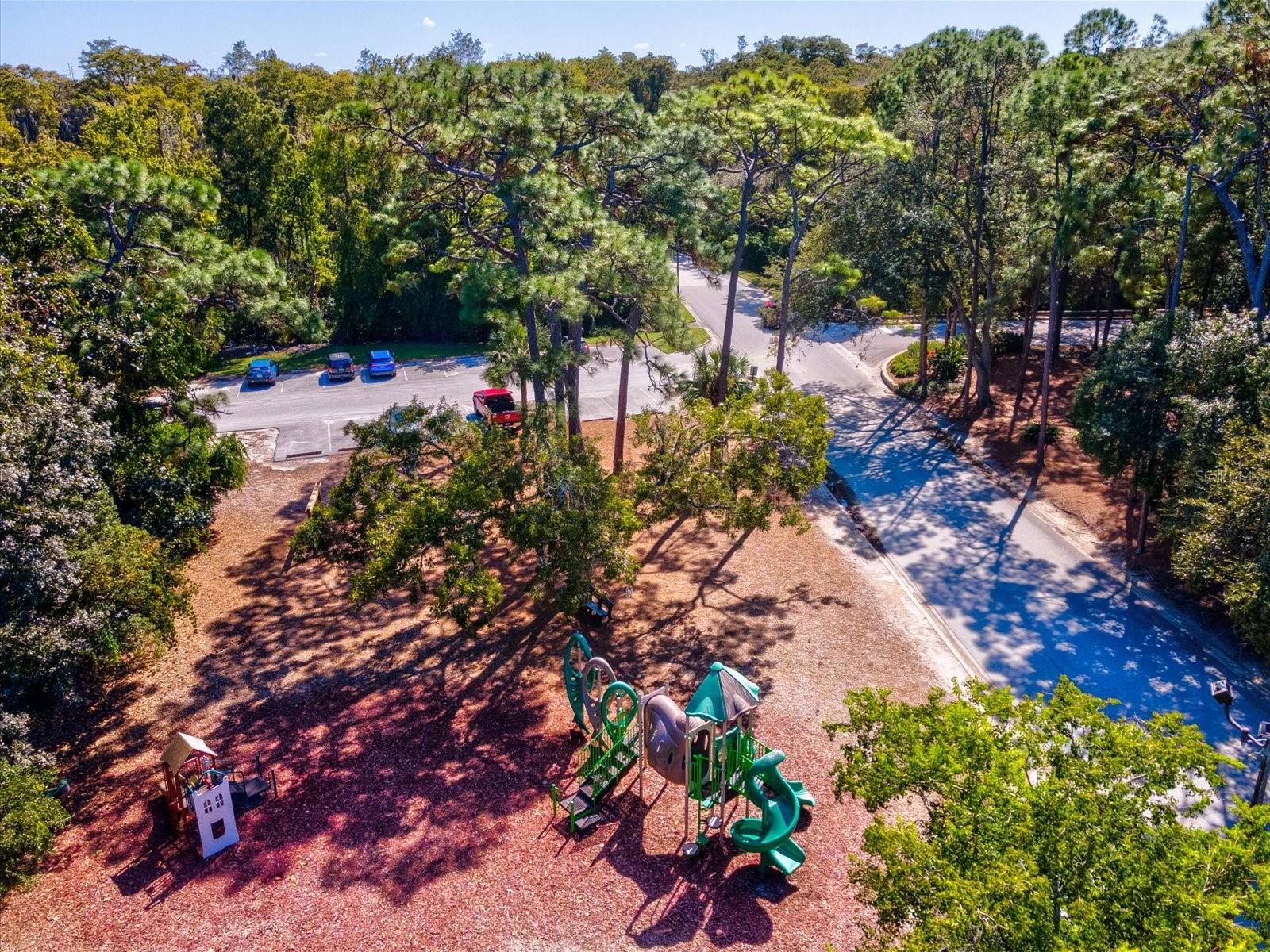 36750 US HIGHWAY 19 N, #2372, Palm Harbor, FL 34683