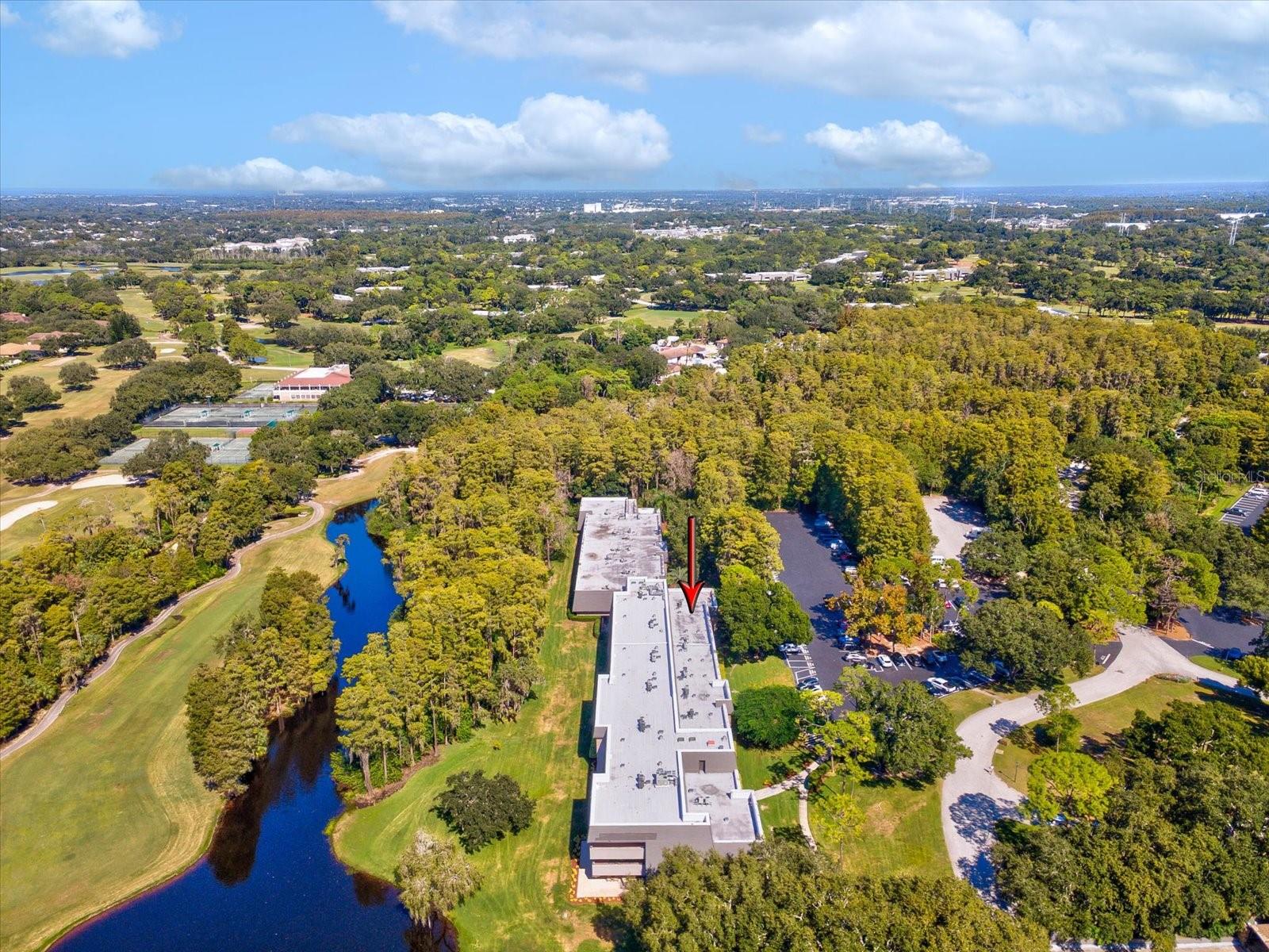 36750 US HIGHWAY 19 N, #2372, Palm Harbor, FL 34683