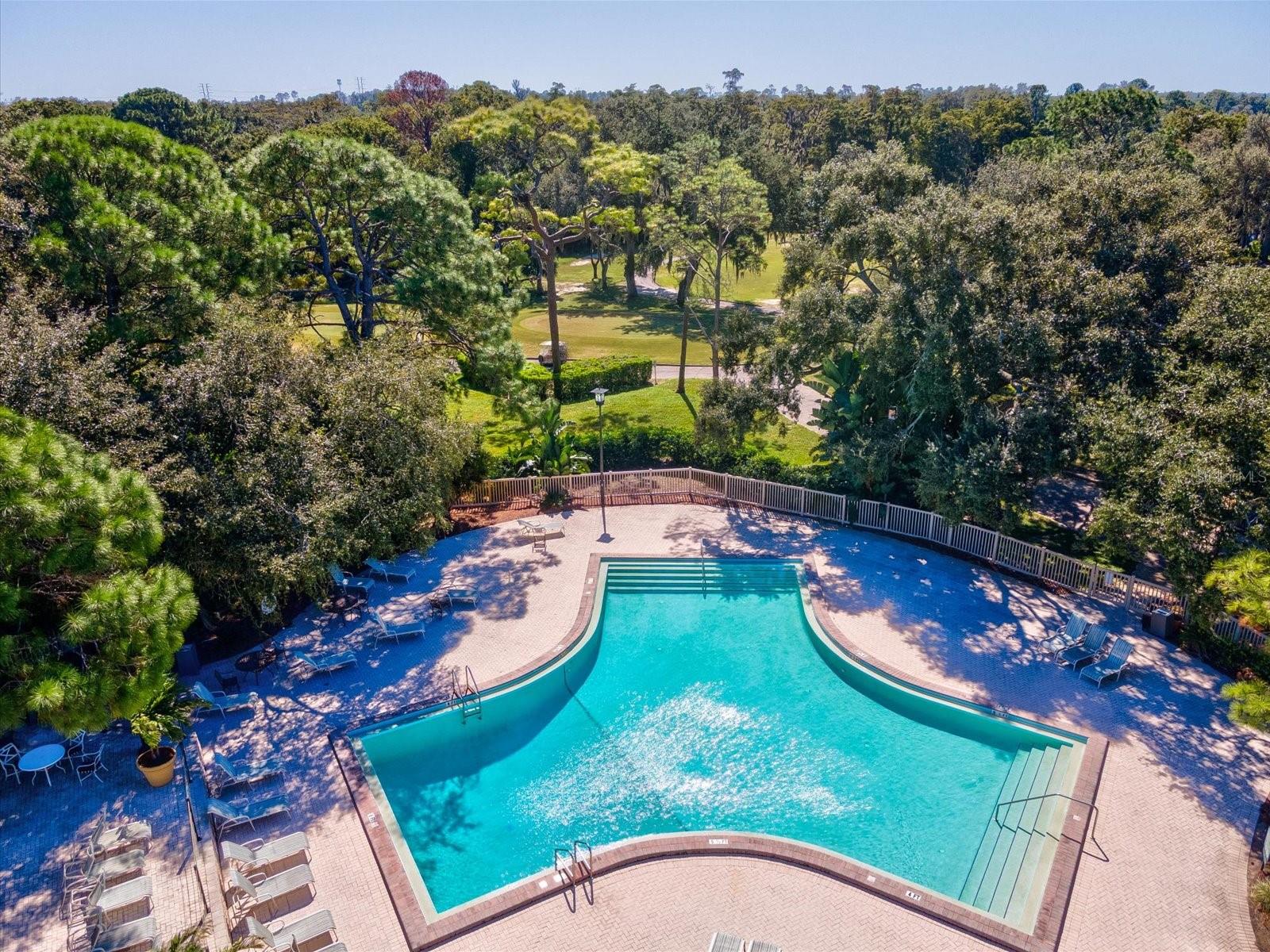 36750 US HIGHWAY 19 N, #2372, Palm Harbor, FL 34683
