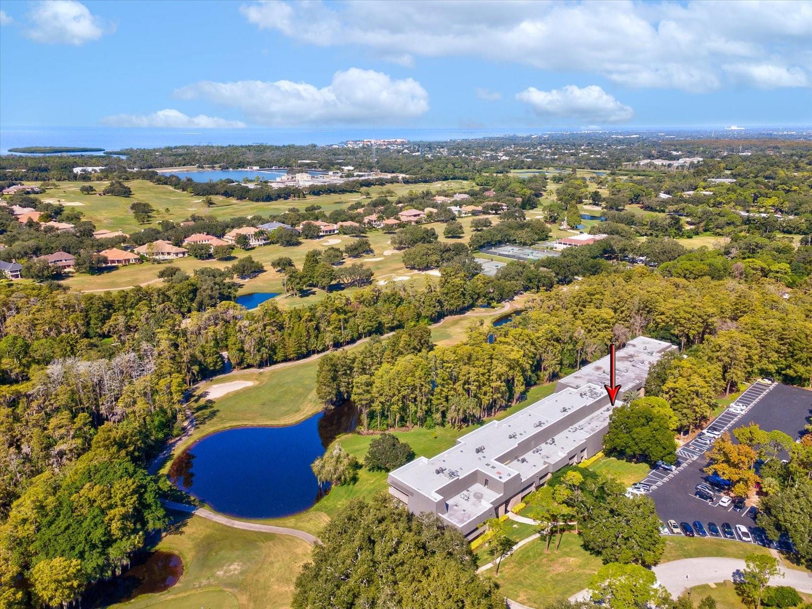 36750 US HIGHWAY 19 N, #2372, Palm Harbor, FL 34683