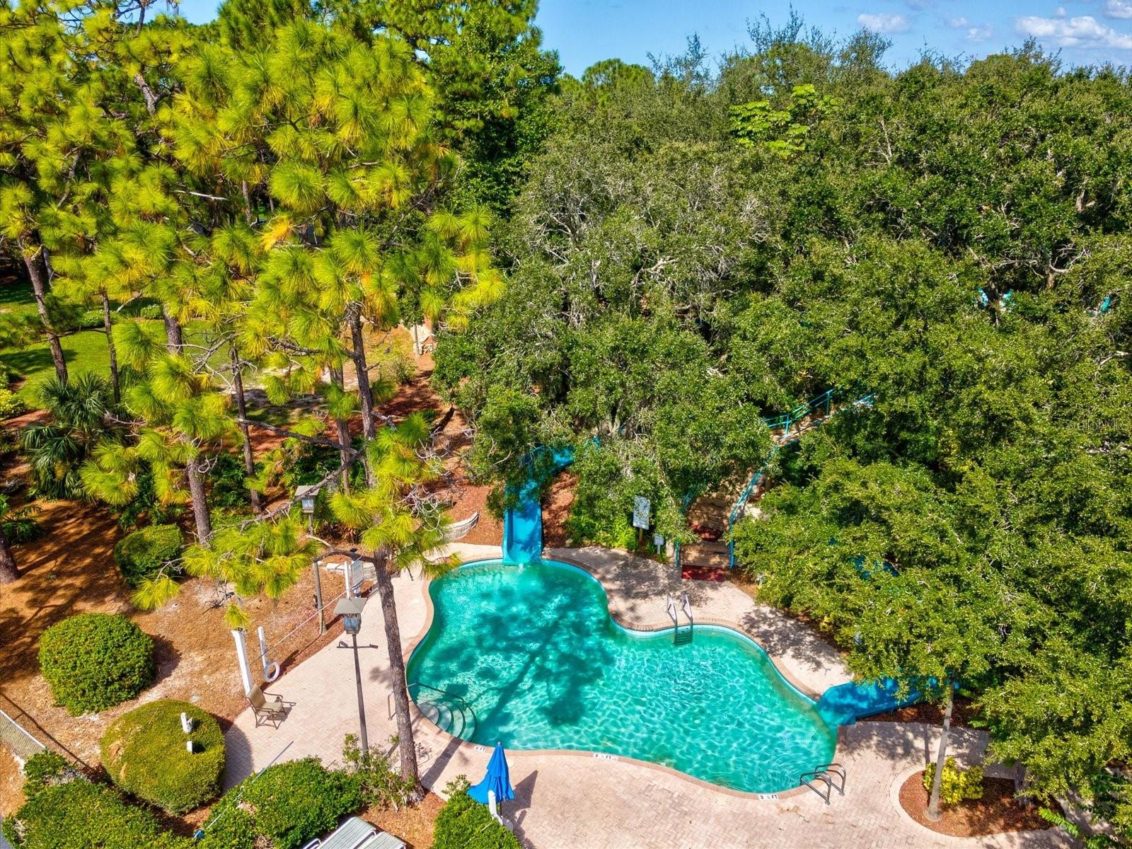 36750 US HIGHWAY 19 N, #2372, Palm Harbor, FL 34683