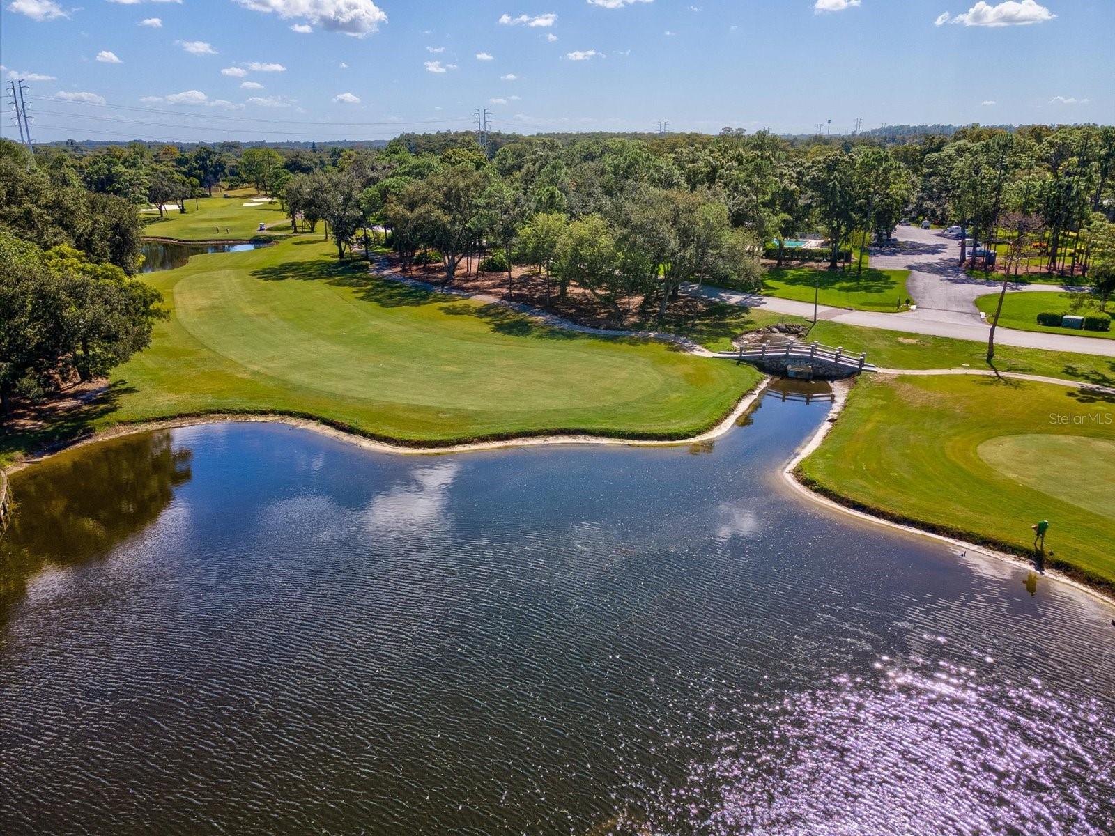 36750 US HIGHWAY 19 N, #2372, Palm Harbor, FL 34683