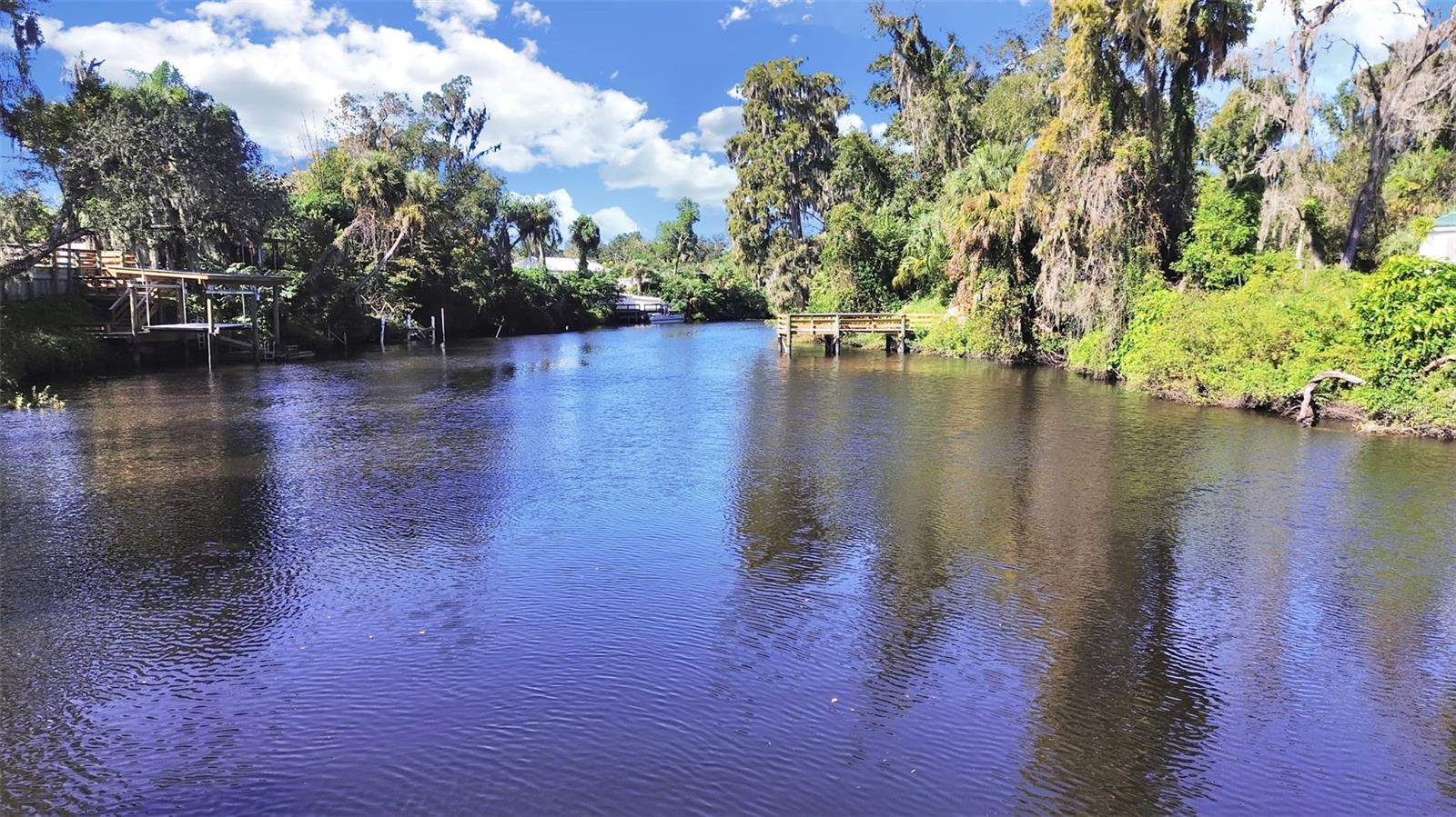 View of Alafia River from Dock View of Alafia River from Dock