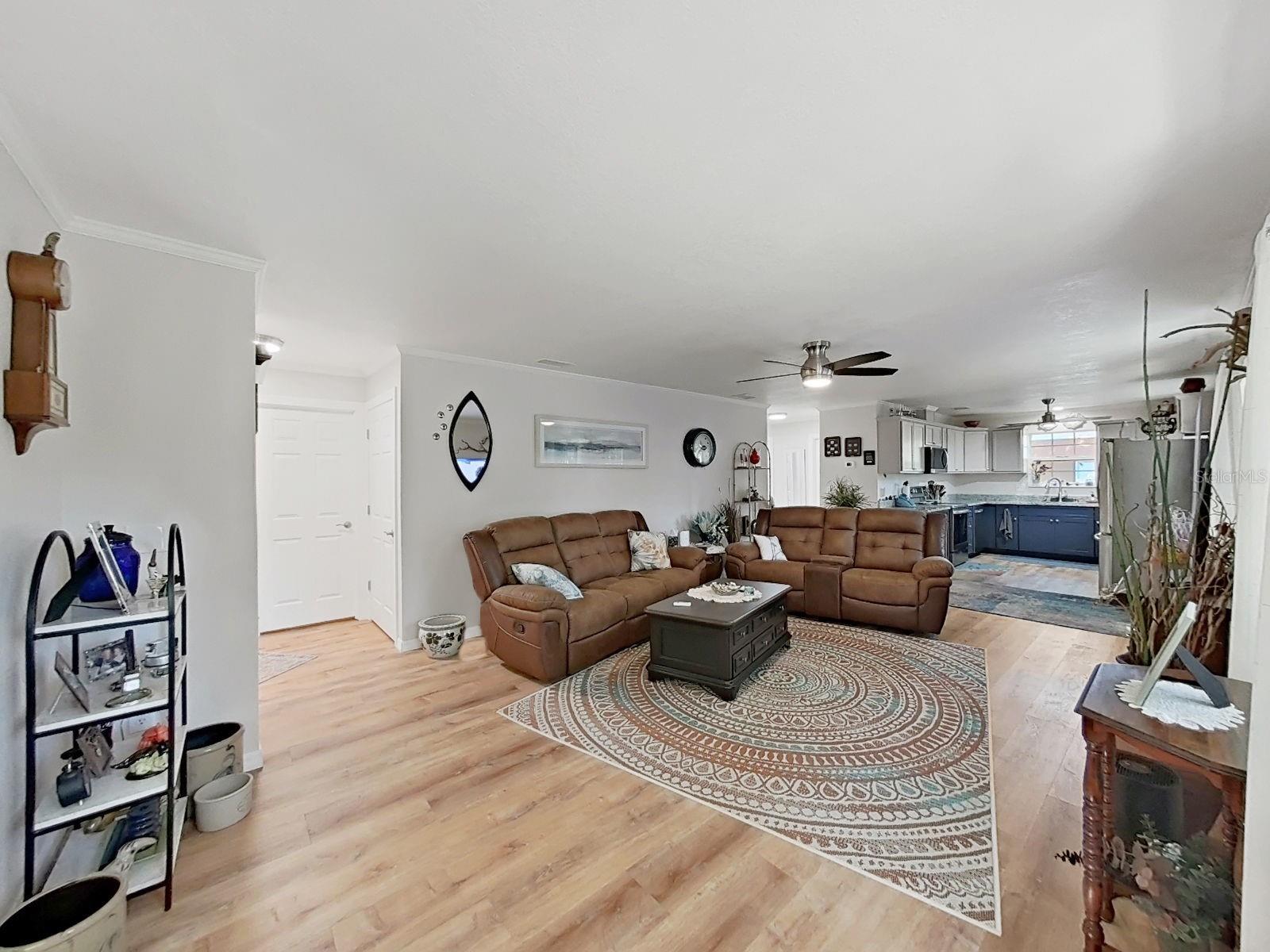Living Room / Kitchen
