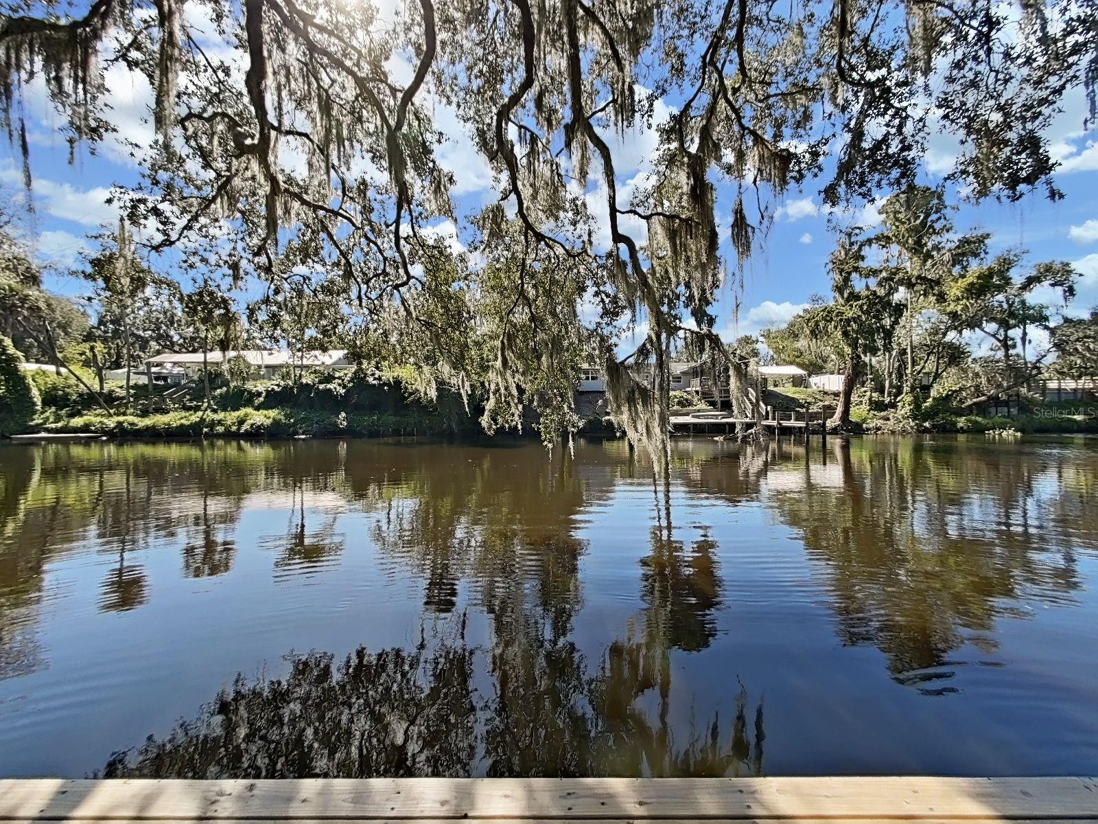 View from Dock