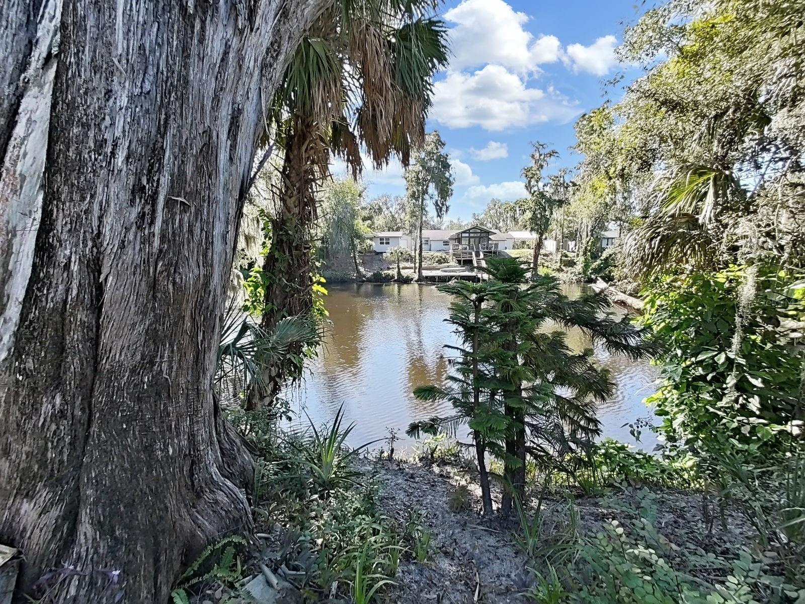 View from Yard
