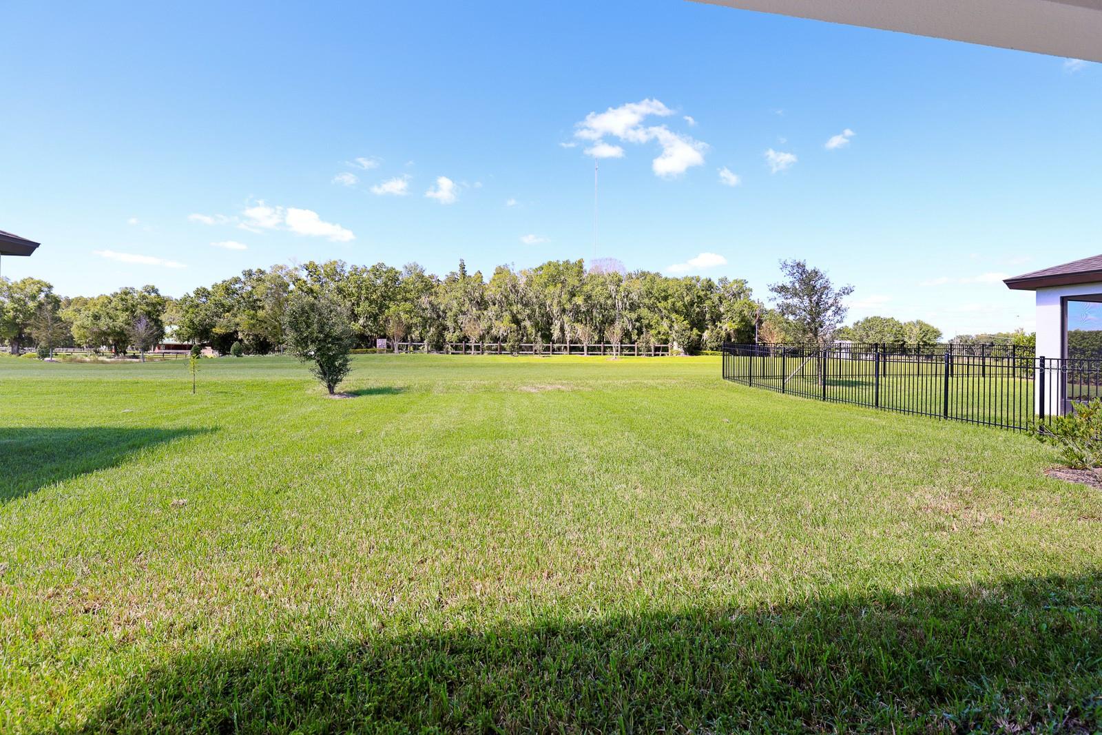 12633 SHETLAND WALK DRIVE, Lithia, FL 33547