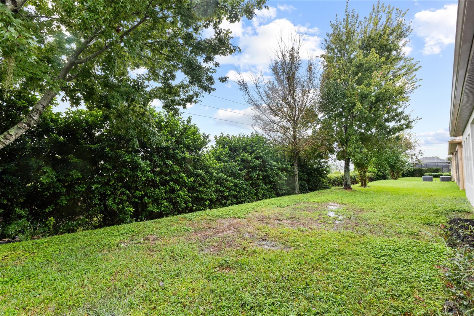 33232 AZALEA RIDGE DRIVE, Wesley Chapel, FL 33545