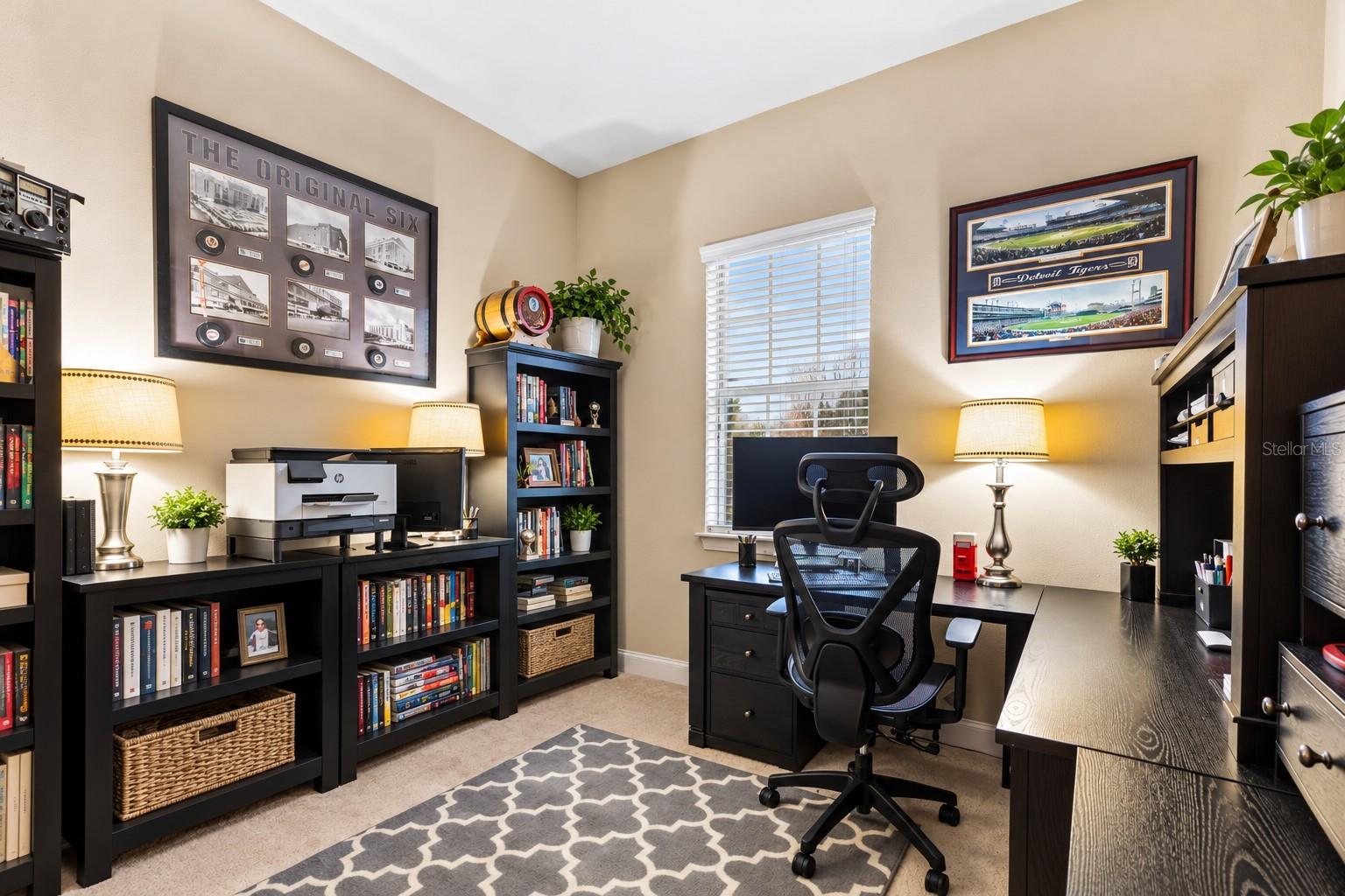 33232 AZALEA RIDGE DRIVE, Wesley Chapel, FL 33545