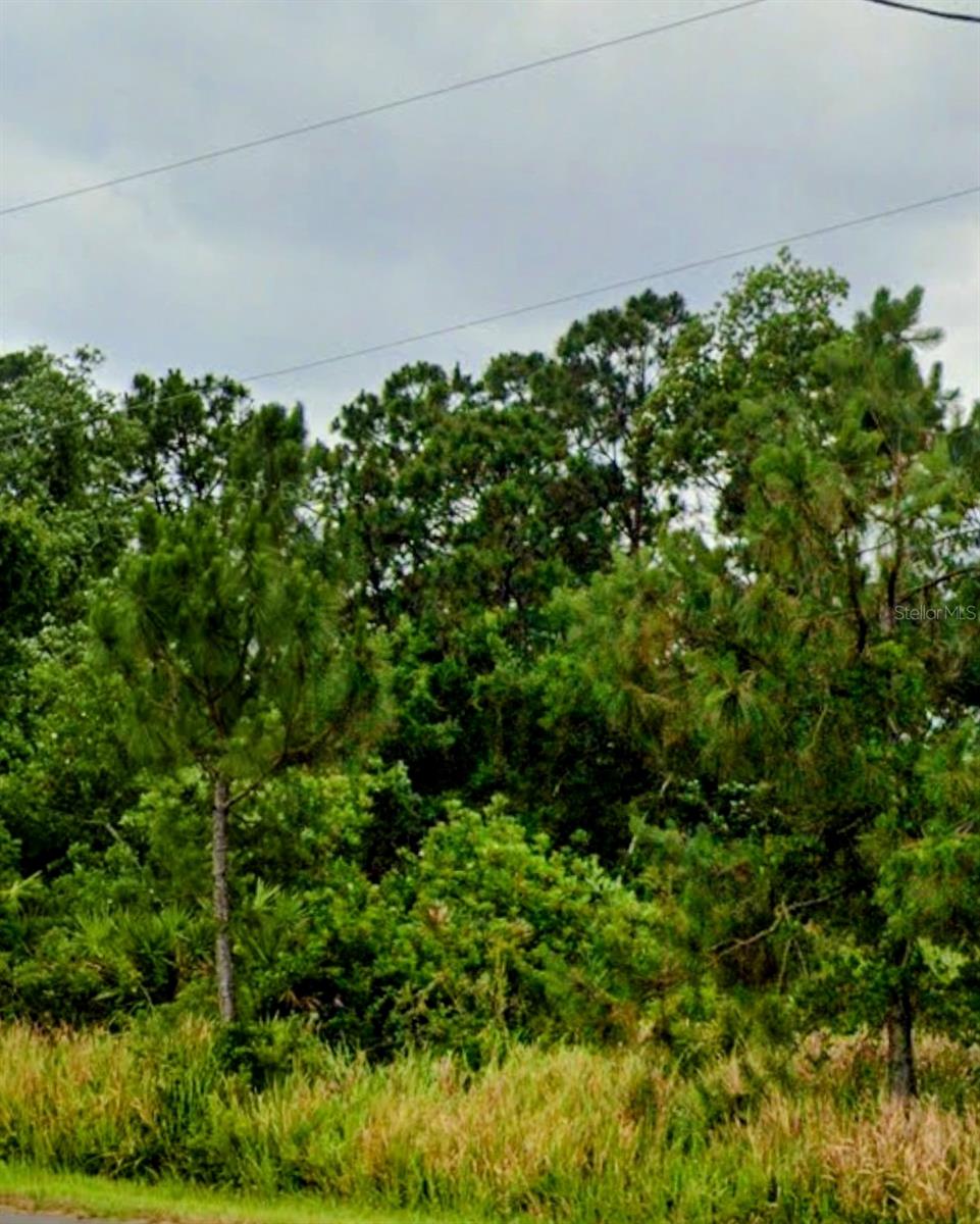 6715 BENEVENTO AVENUE, Sebring, FL 33872