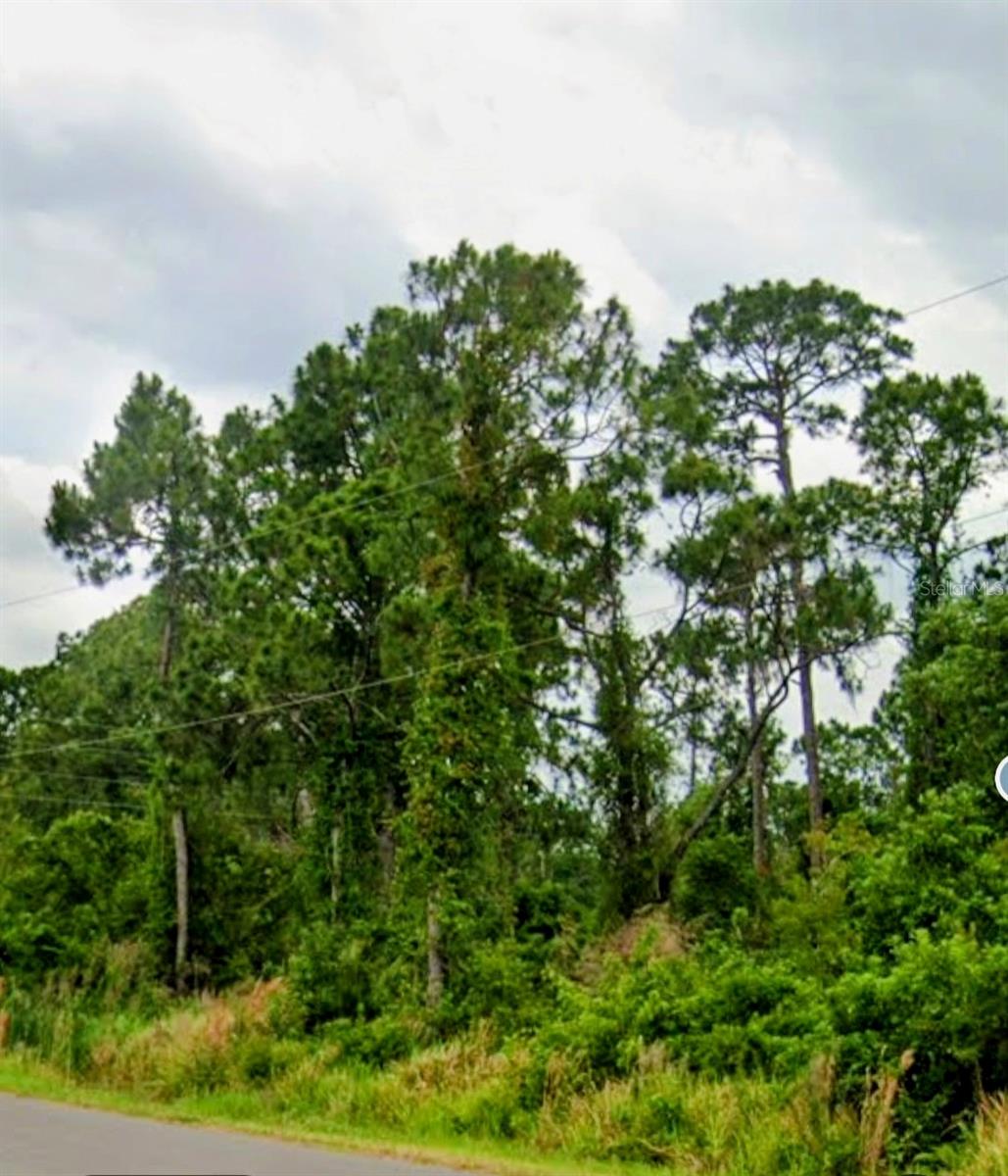 6715 BENEVENTO AVENUE, Sebring, FL 33872