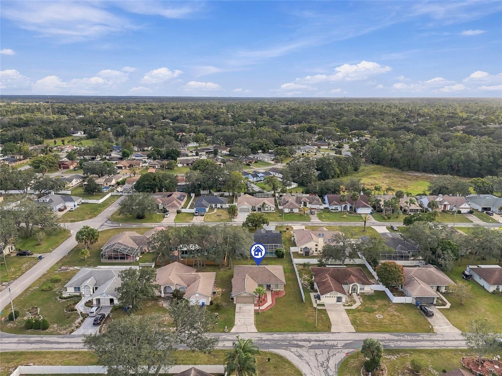 8218 SPANISH OAK DRIVE, Spring Hill, FL 34606