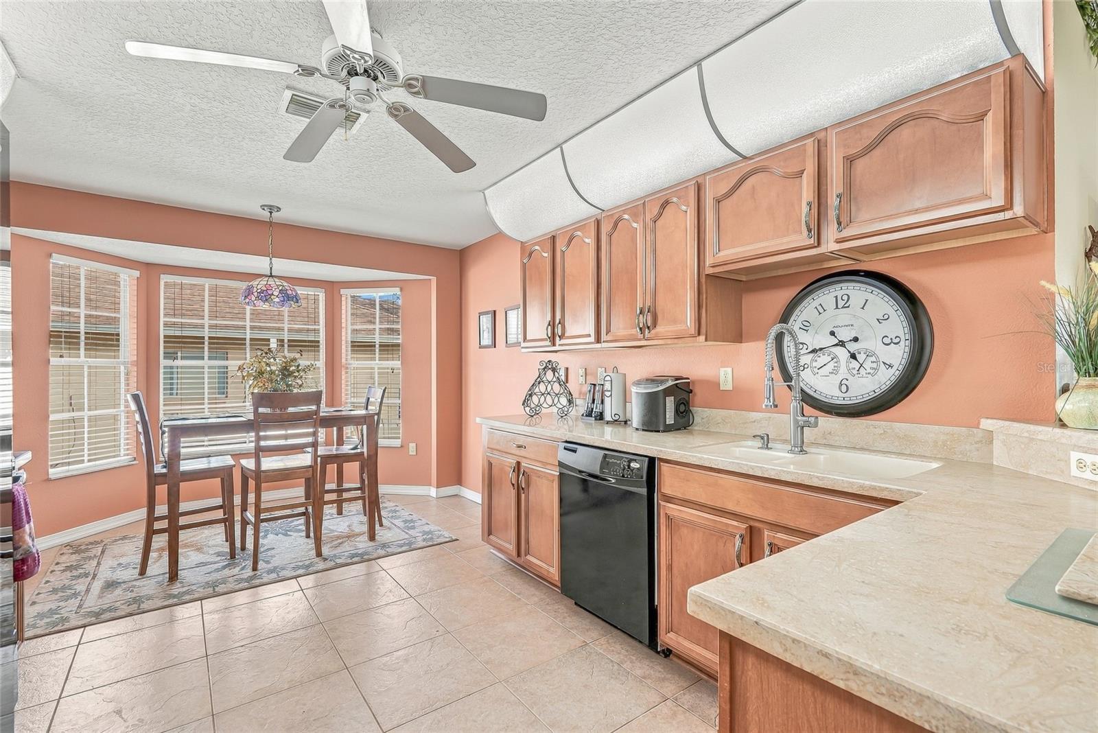 Sink & Dishwasher