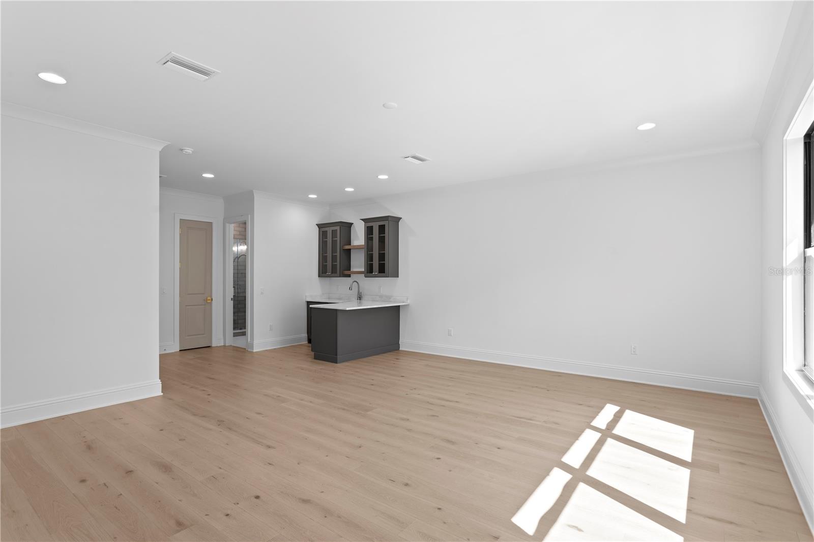Bonus room with wet bar