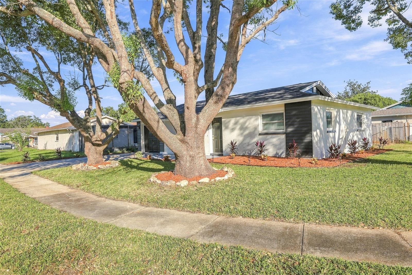 4147 RACCOON LOOP, New Port Richey, FL 34653
