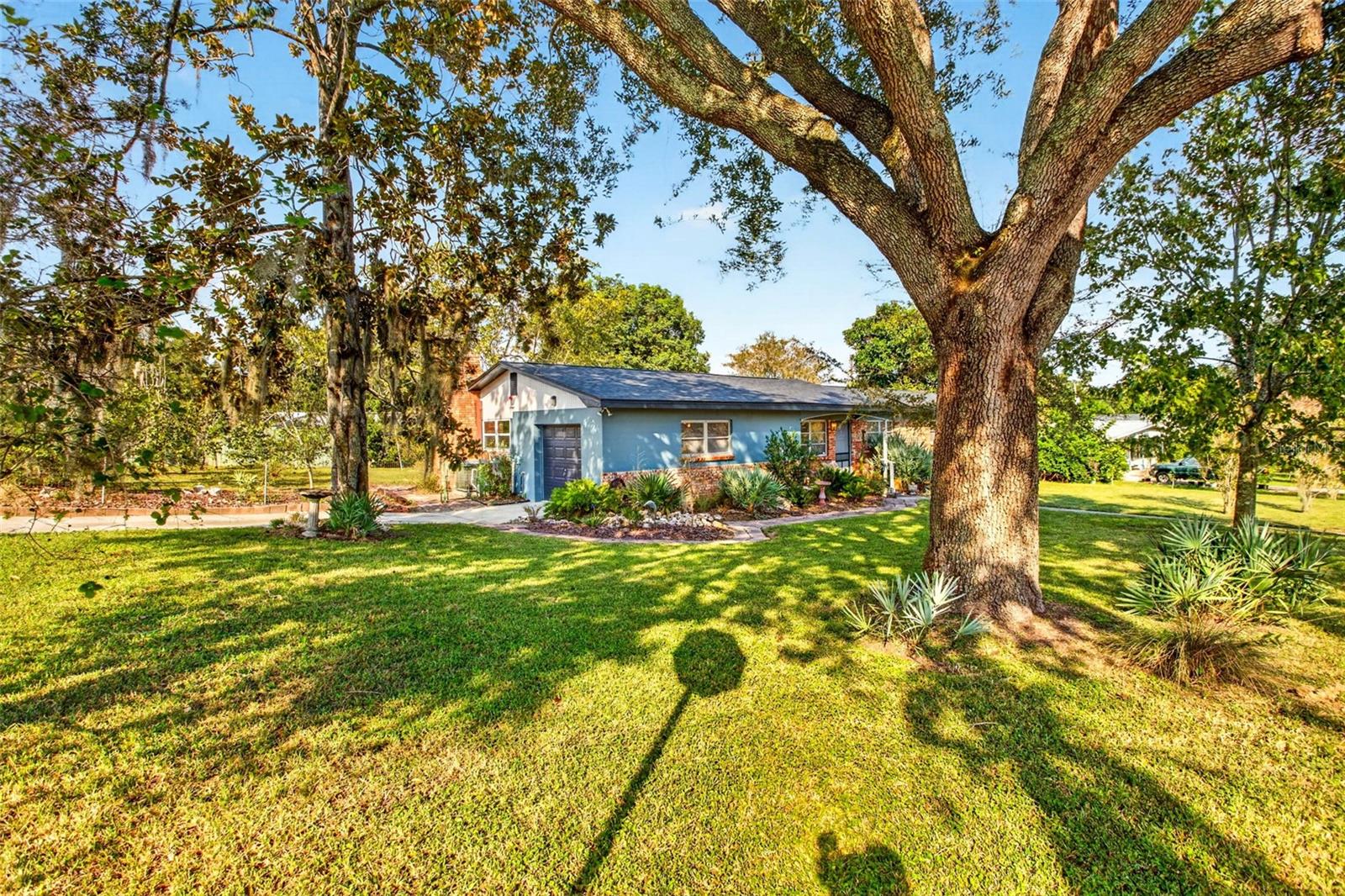 302 PARK RIDGE AVENUE, Temple Terrace, FL 33617