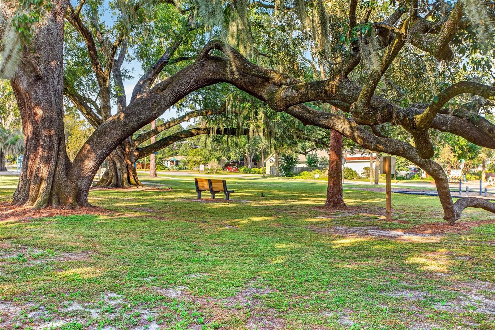 302 PARK RIDGE AVENUE, Temple Terrace, FL 33617