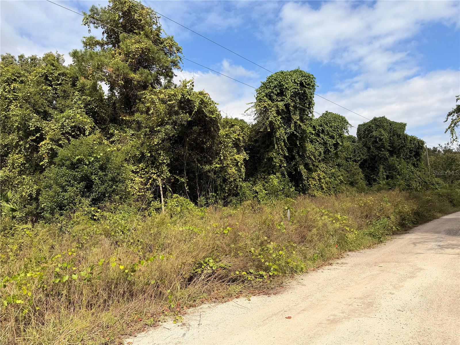 Lot 55 PALMETTO CIRCLE, Paisley, FL 32767 Lot 55 PALMETTO CIRCLE, Paisley, FL 32767