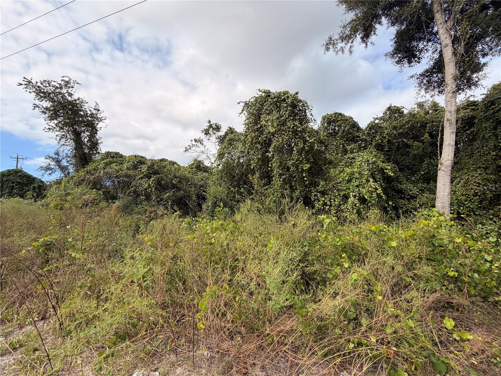 Lot 55 PALMETTO CIRCLE, Paisley, FL 32767