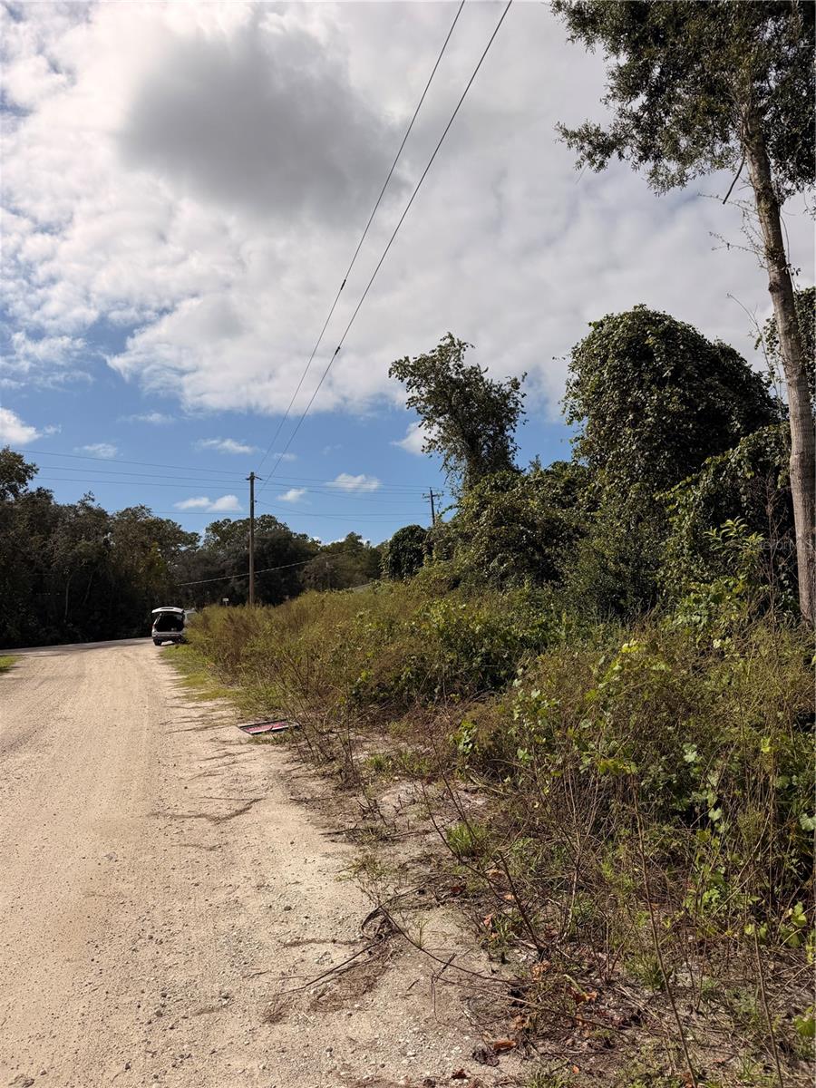 Lot 55 PALMETTO CIRCLE, Paisley, FL 32767 Lot 55 PALMETTO CIRCLE, Paisley, FL 32767