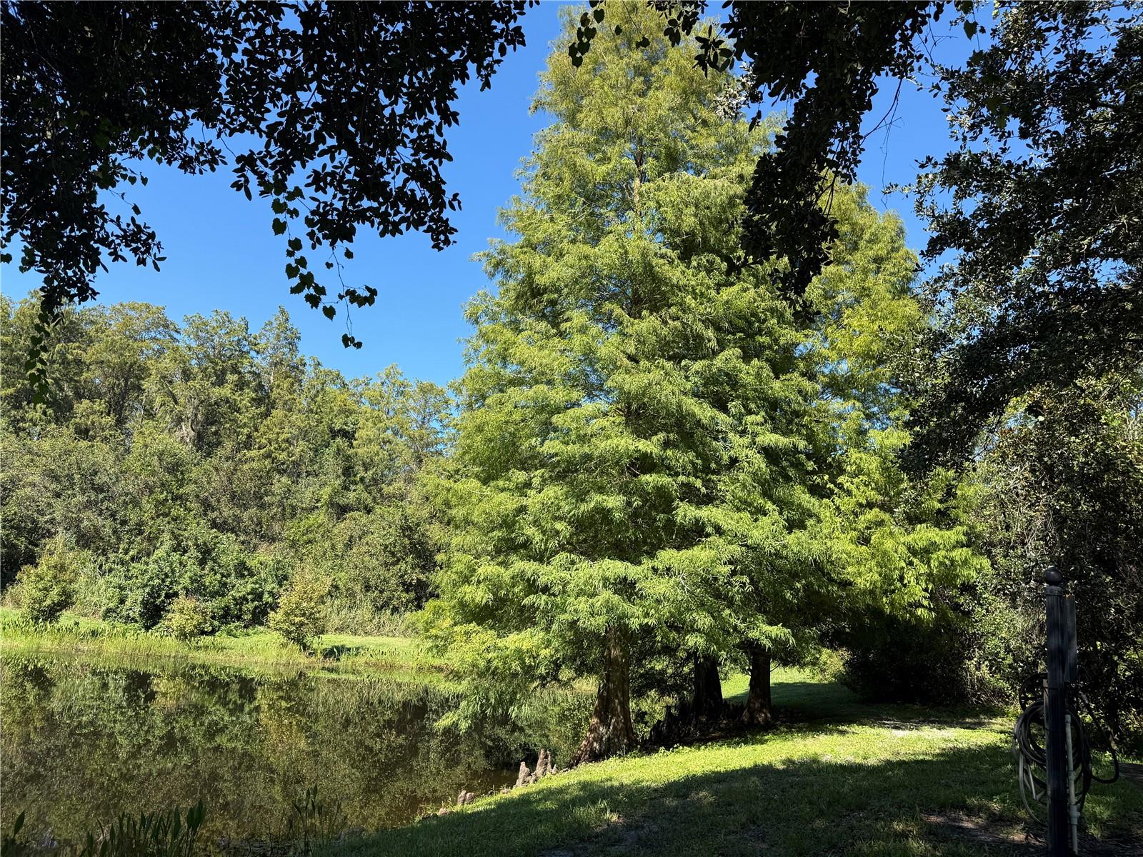 10445 WESTPARK PRESERVE BLVD, Tampa, FL 33625