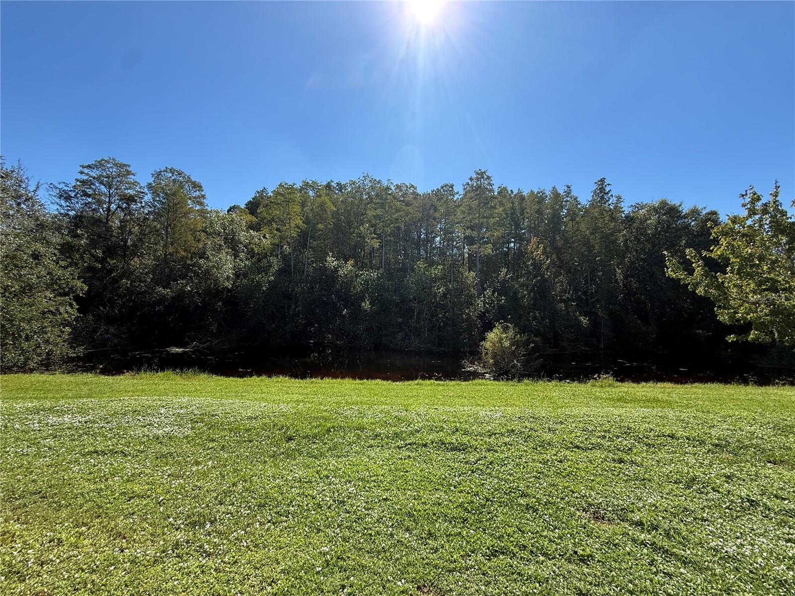 10445 WESTPARK PRESERVE BLVD, Tampa, FL 33625