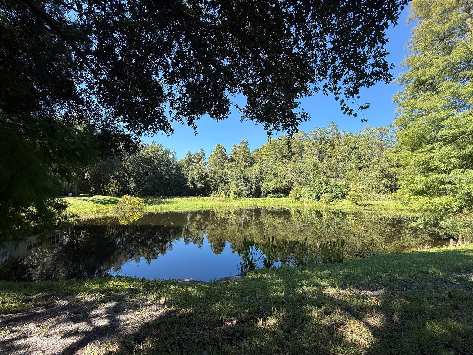 10445 WESTPARK PRESERVE BLVD, Tampa, FL 33625