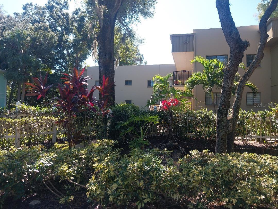 View from Side of Bldg.