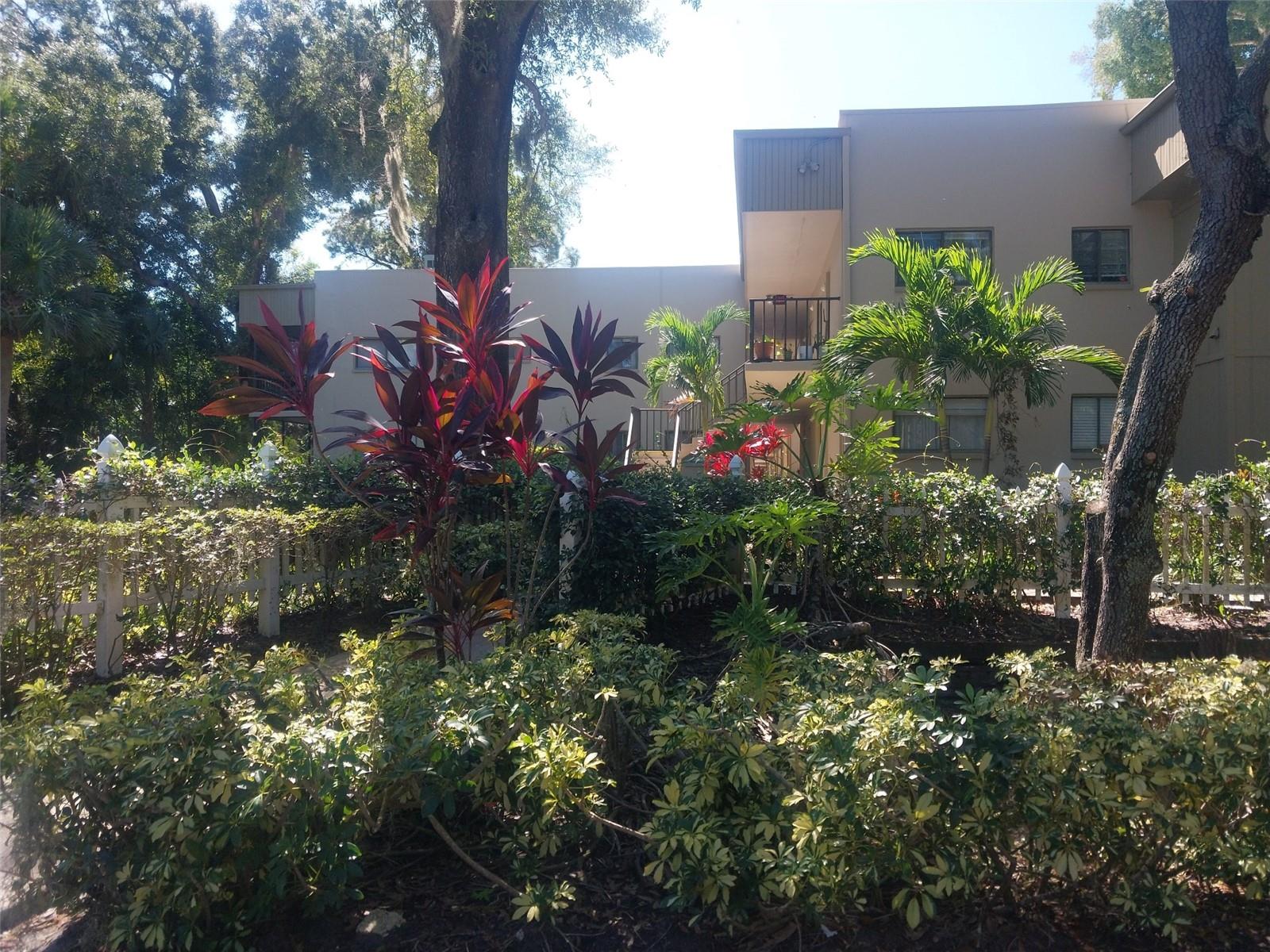 Beautiful Landscaping & Shade!
