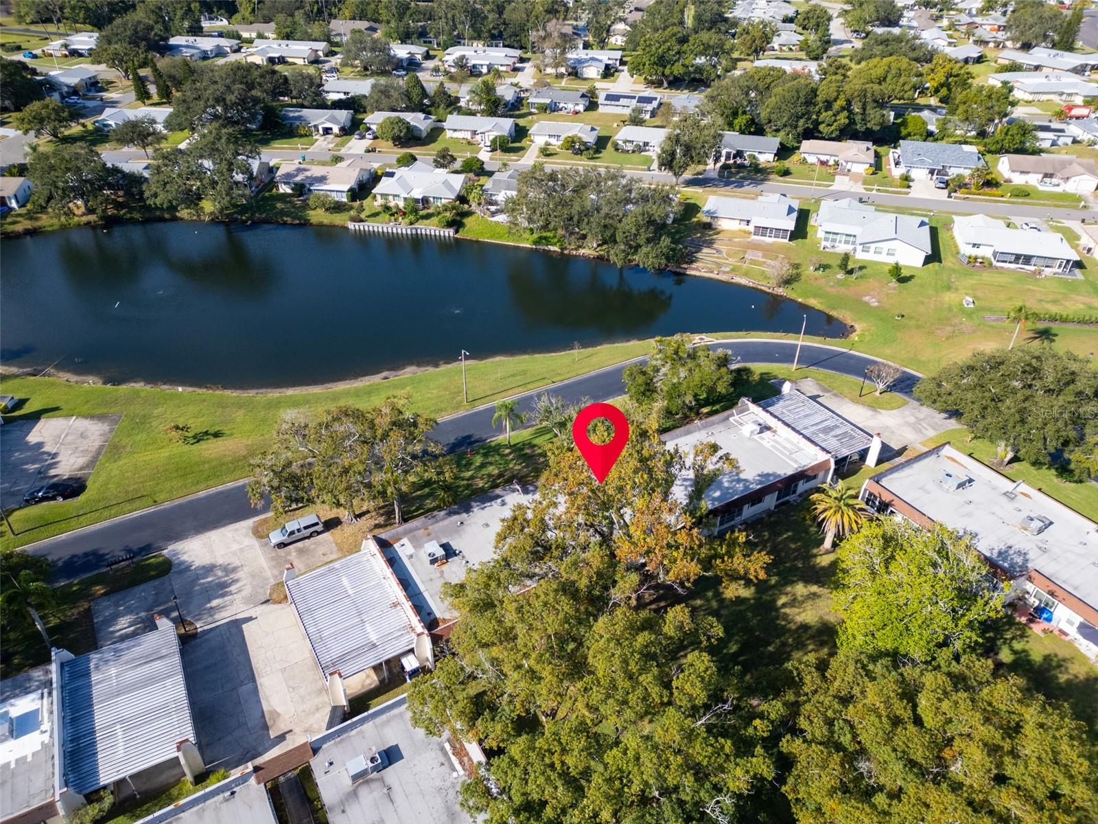 3109 MISSION GROVE DRIVE, #D, Palm Harbor, FL 34684