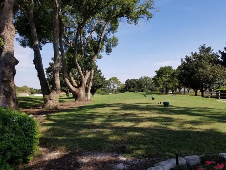 3109 MISSION GROVE DRIVE, #D, Palm Harbor, FL 34684
