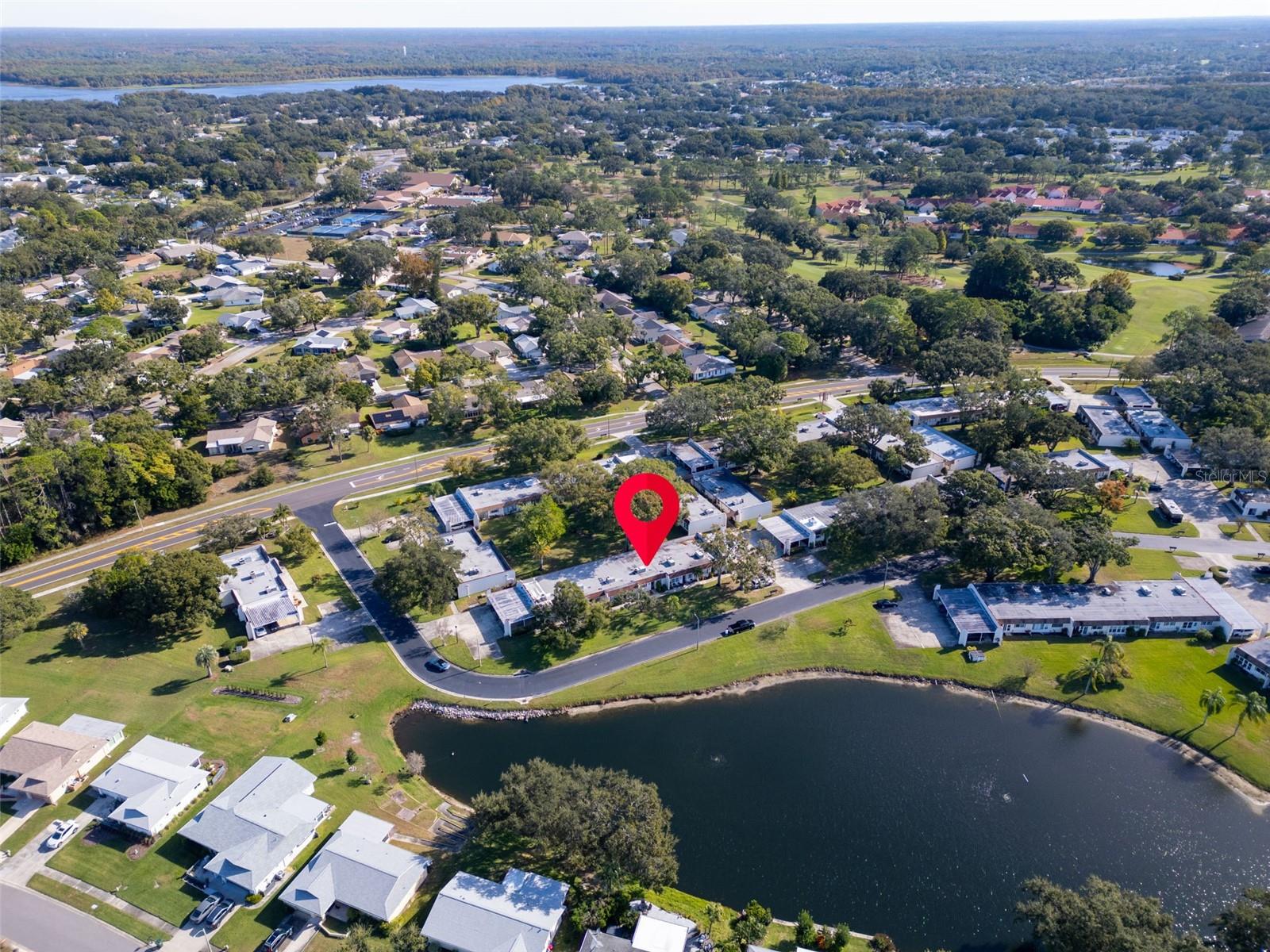 3109 MISSION GROVE DRIVE, #D, Palm Harbor, FL 34684