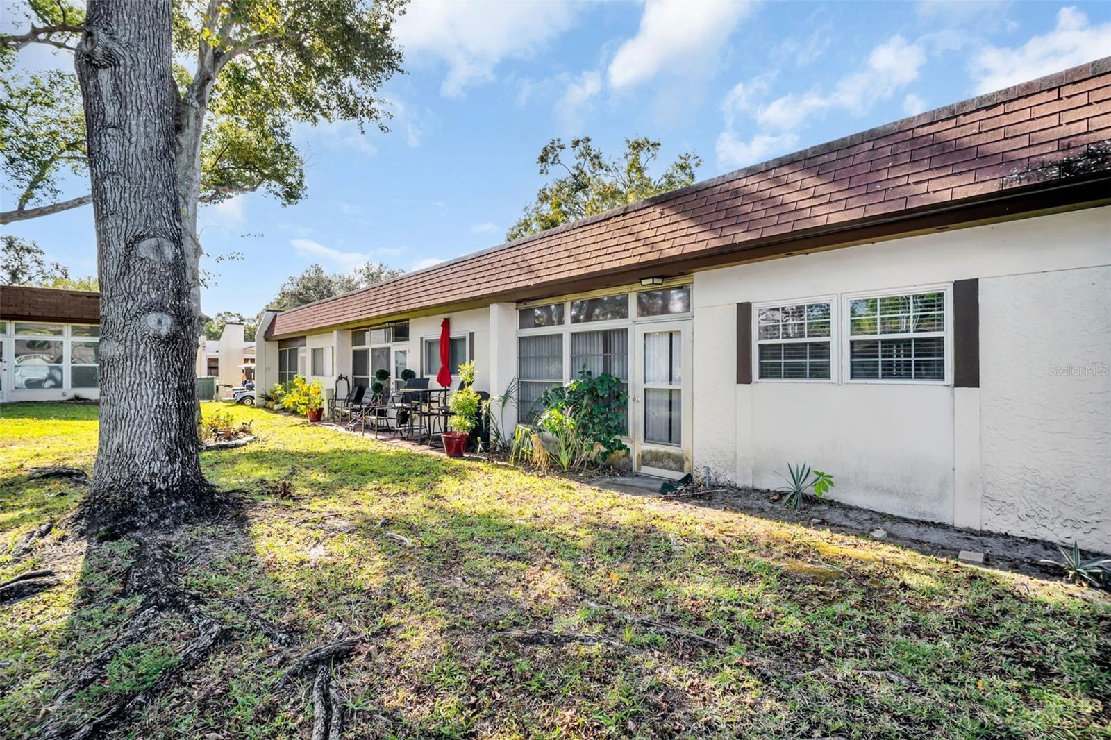 3109 MISSION GROVE DRIVE, #D, Palm Harbor, FL 34684