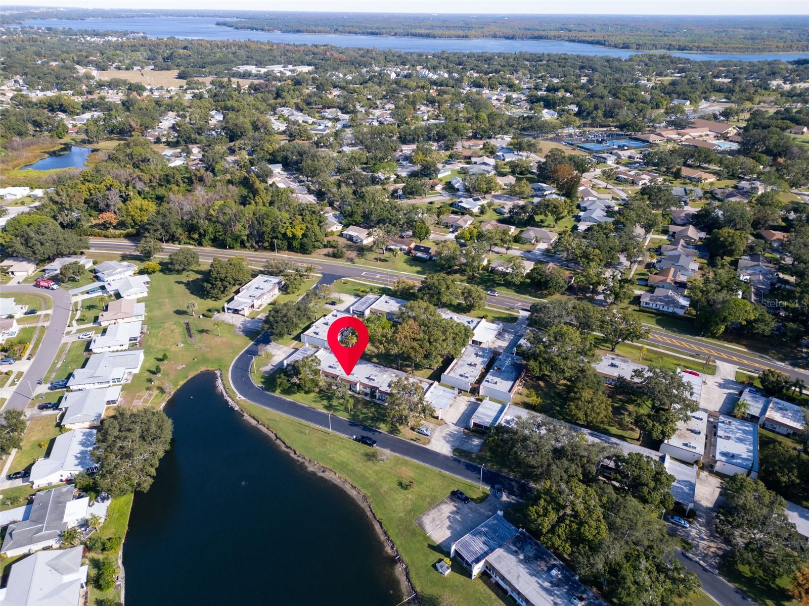 3109 MISSION GROVE DRIVE, #D, Palm Harbor, FL 34684
