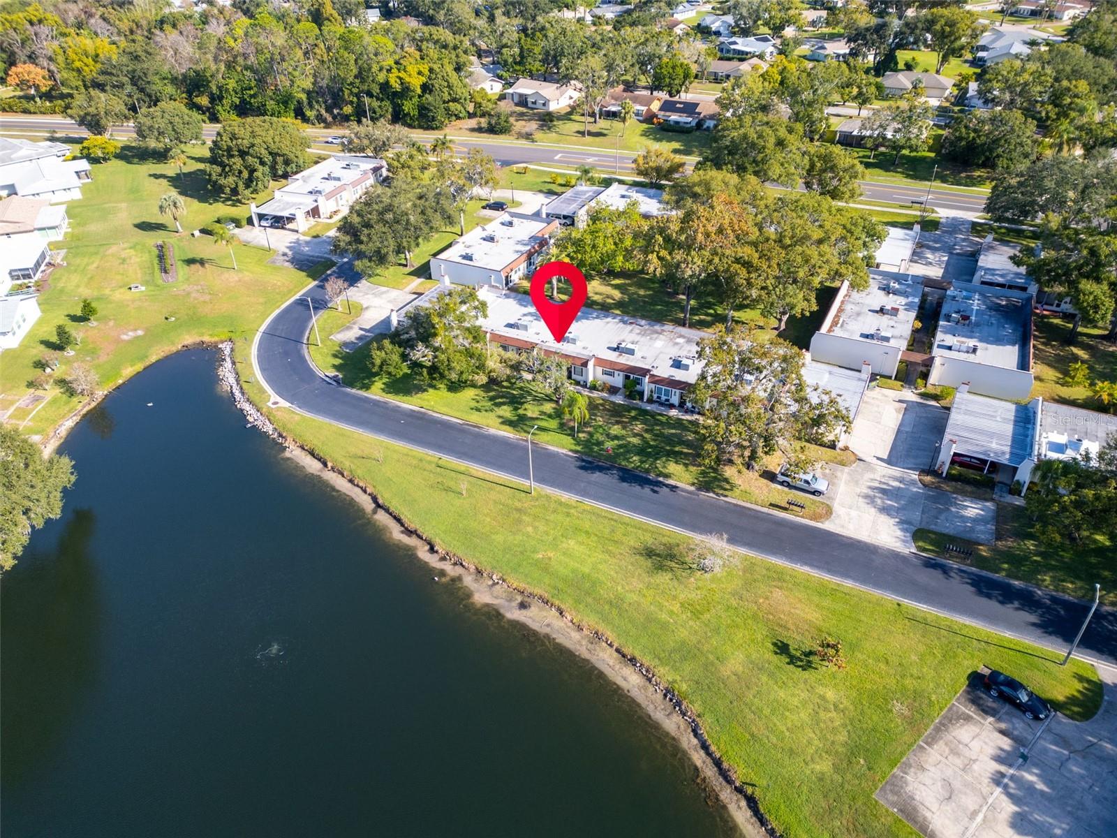 3109 MISSION GROVE DRIVE, #D, Palm Harbor, FL 34684