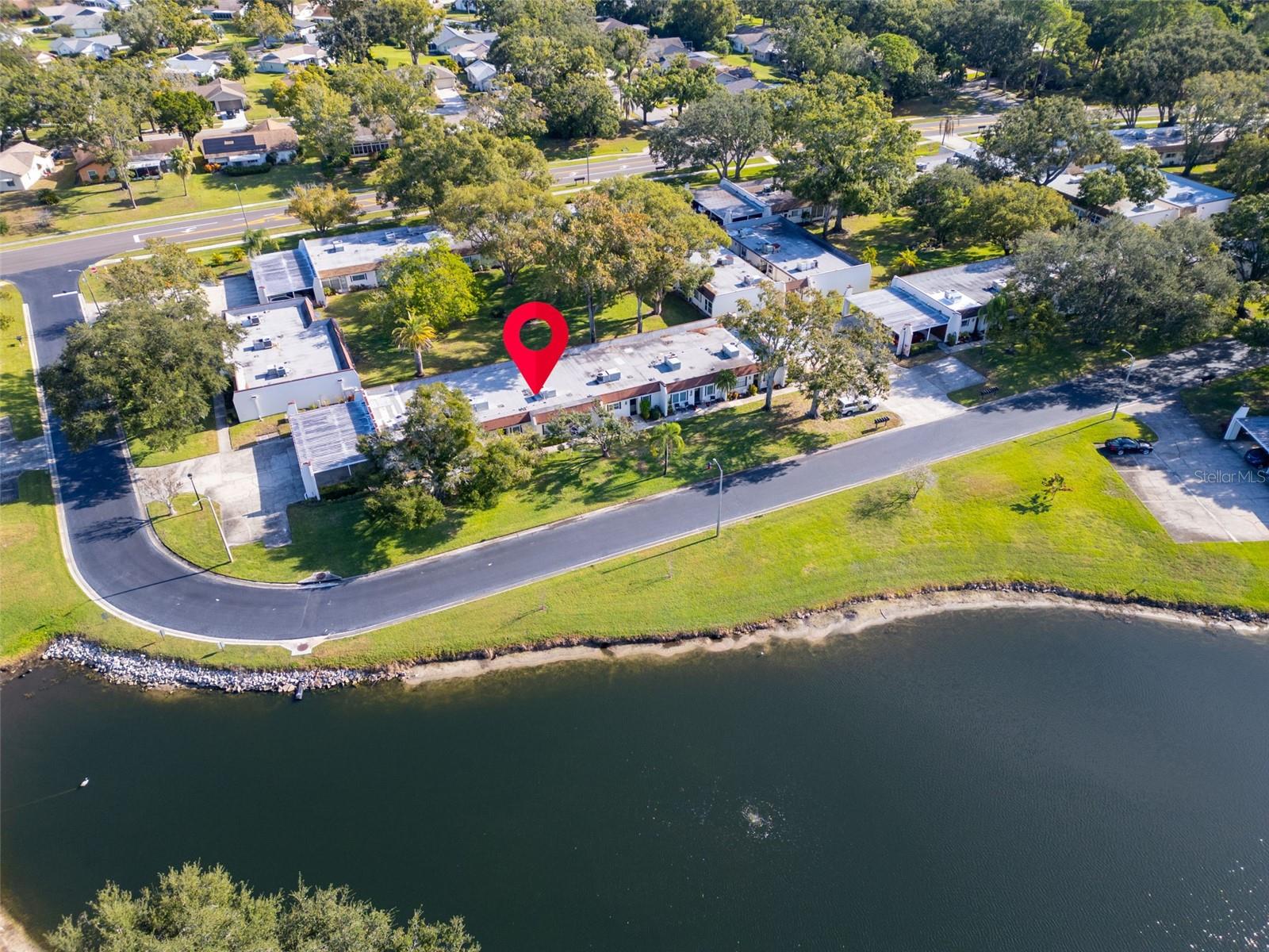 3109 MISSION GROVE DRIVE, #D, Palm Harbor, FL 34684