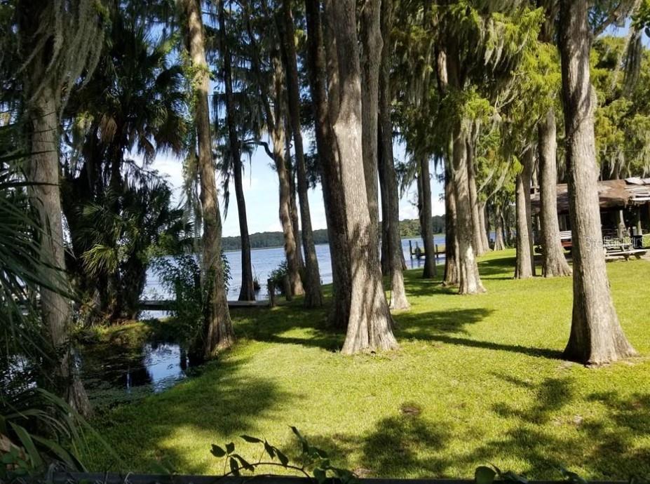 3109 MISSION GROVE DRIVE, #D, Palm Harbor, FL 34684